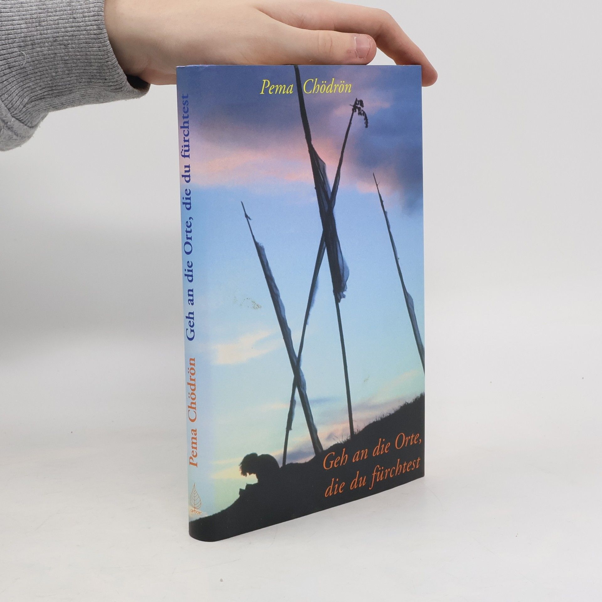 Pema Chödrön Geh an die Orte, die du fürchtest