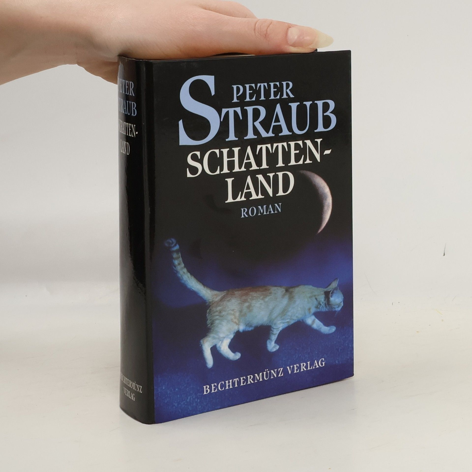 Peter Straub Schattenland