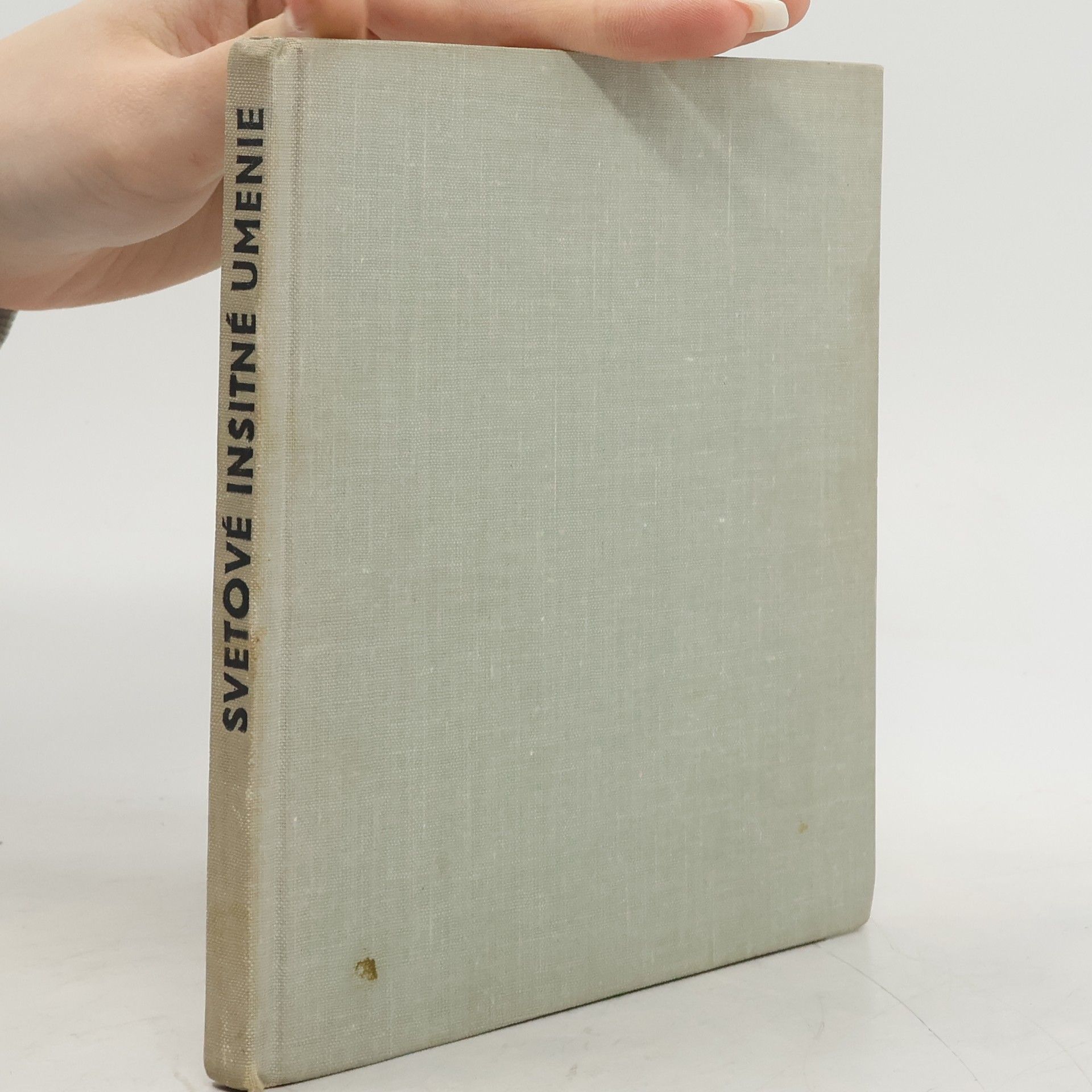 Svetové insitné umenie