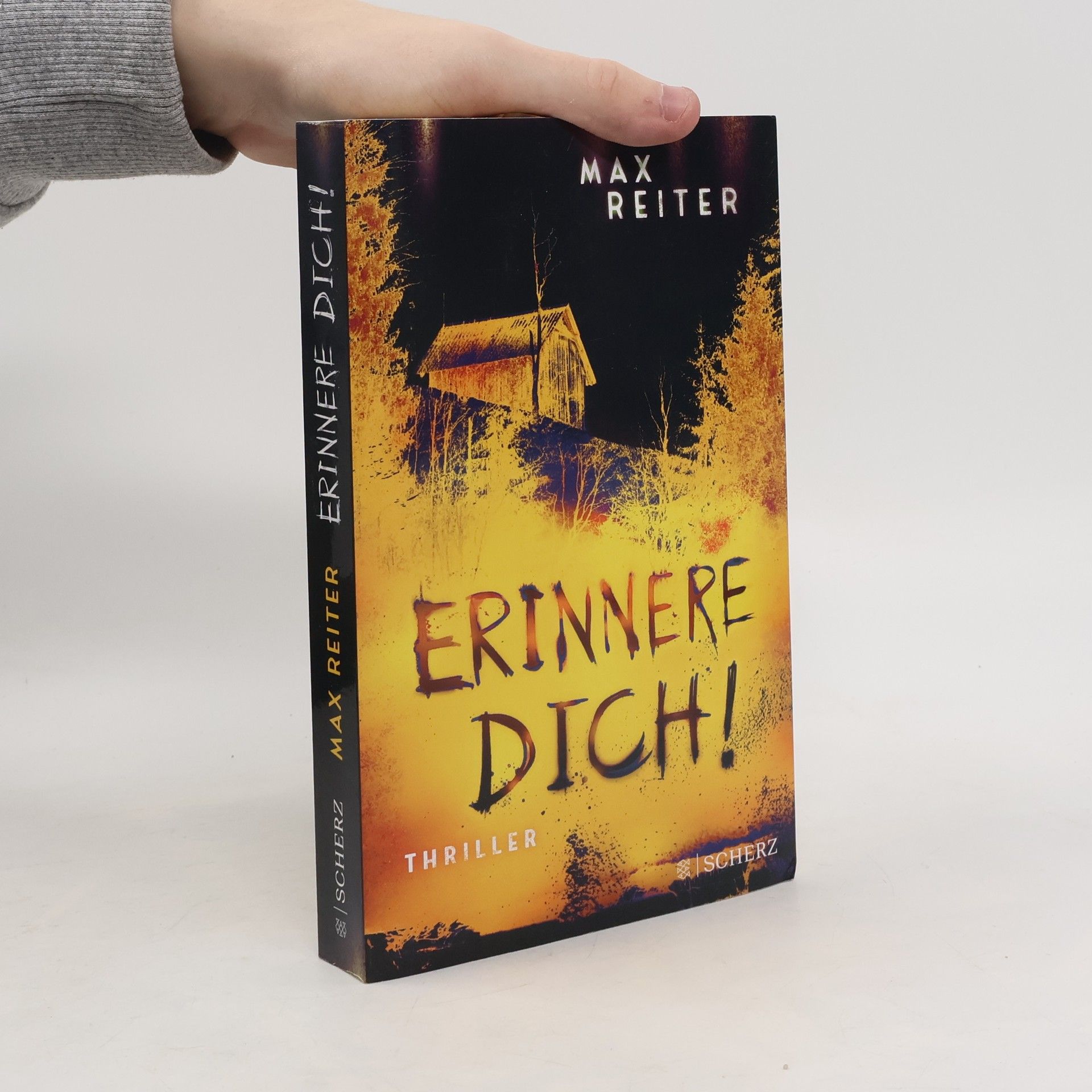 Max Reiter Erinnere dich!