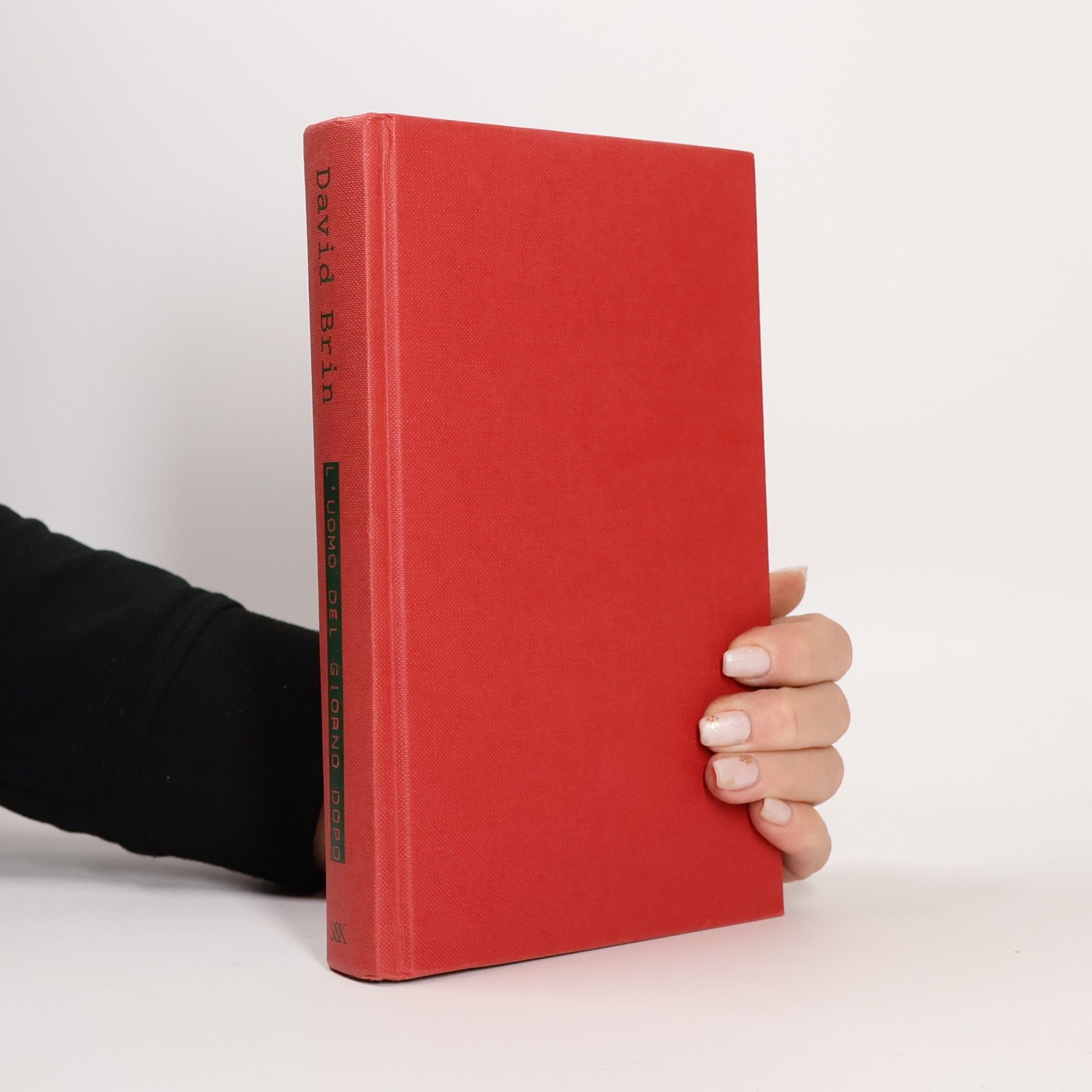 David Brin L'uomo del giorno dopo