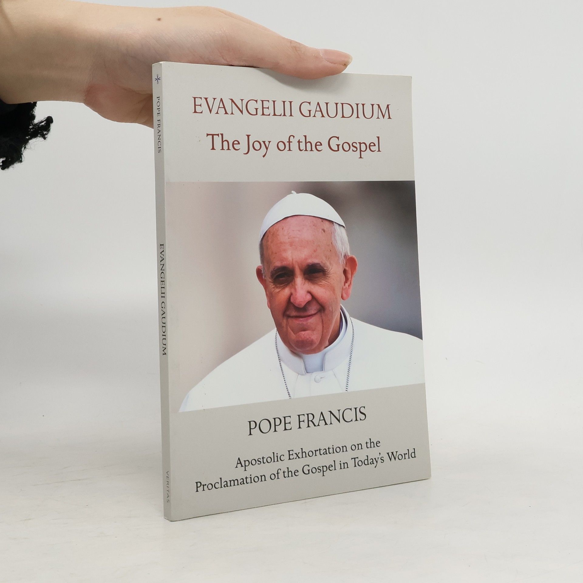 Papst Franziskus Evangelii Gaudium