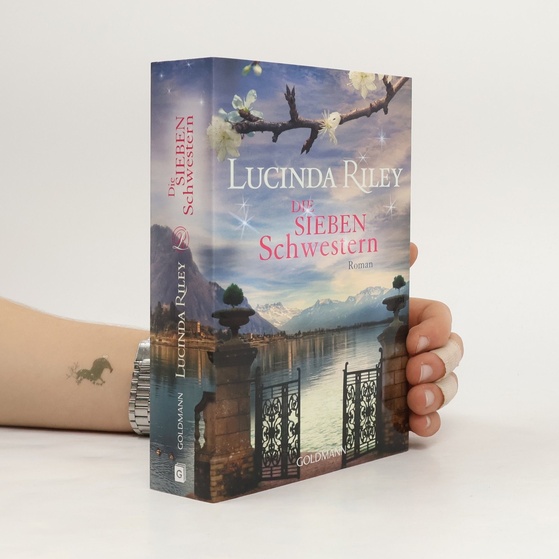 Die sieben Schwestern