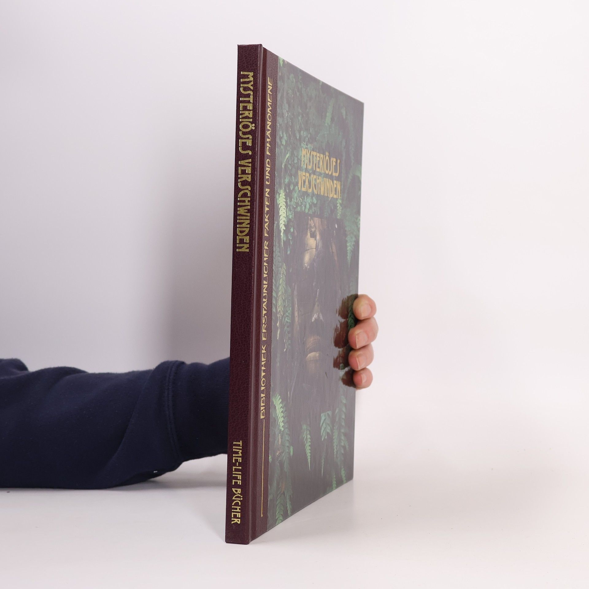 Marianne Tölle Mysteriöses Verschwinden