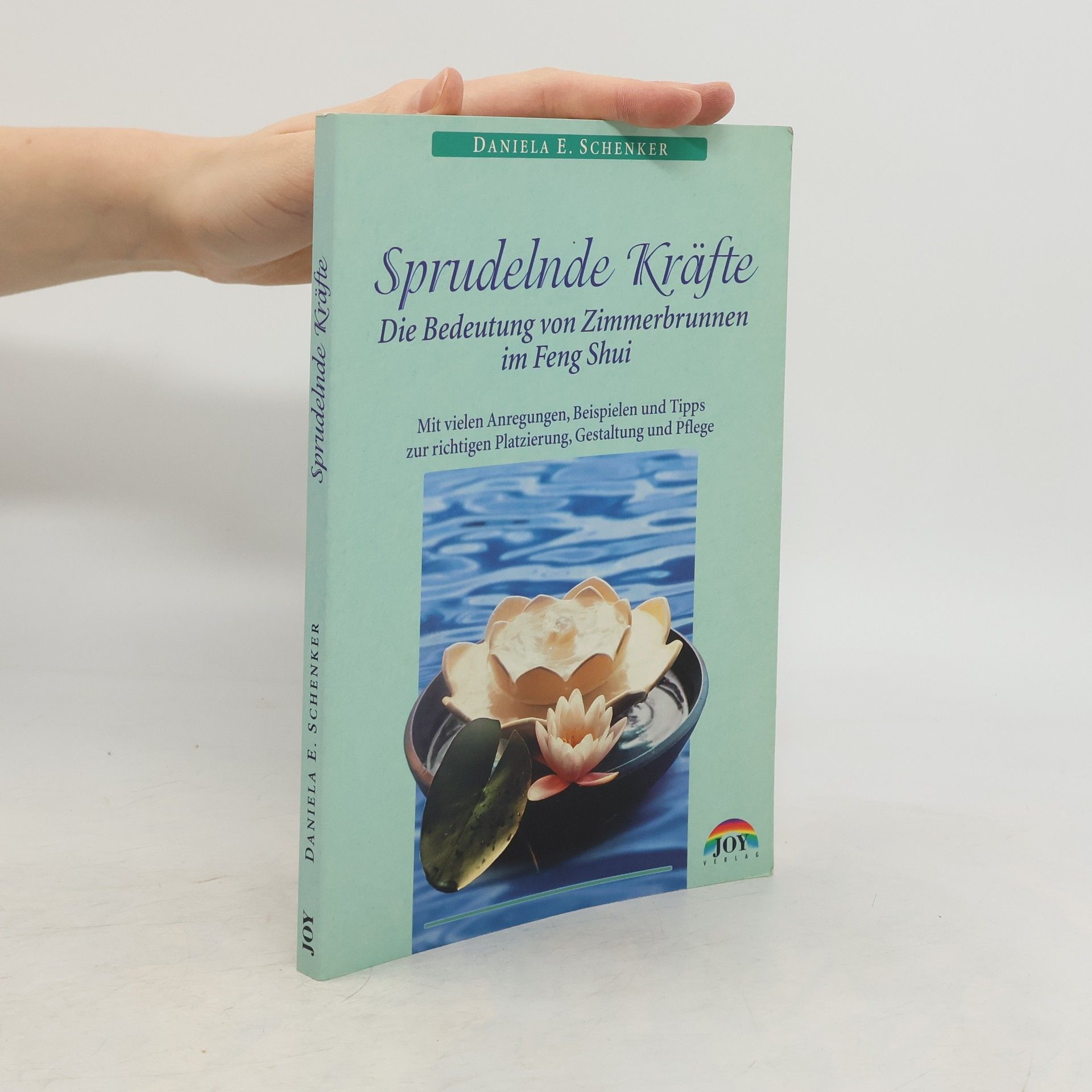 Daniela E. Schenker Sprudelnde Kräfte