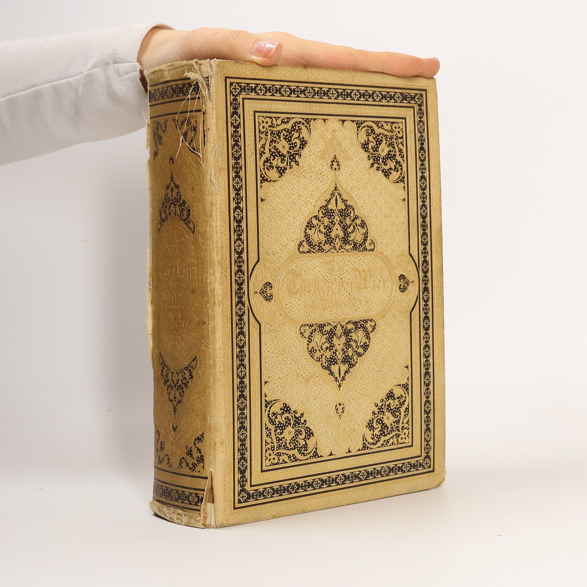 Karl Toifel Die Türken vor Wien im Jahre 1683