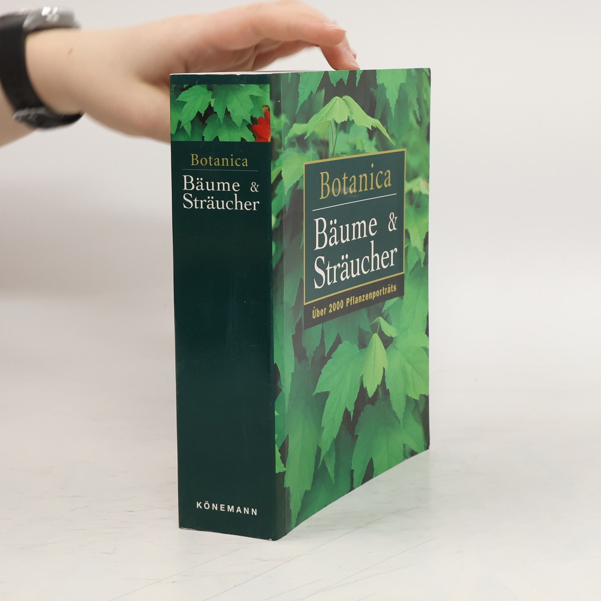 Autores varios Botanica Bäumer und Sträucher