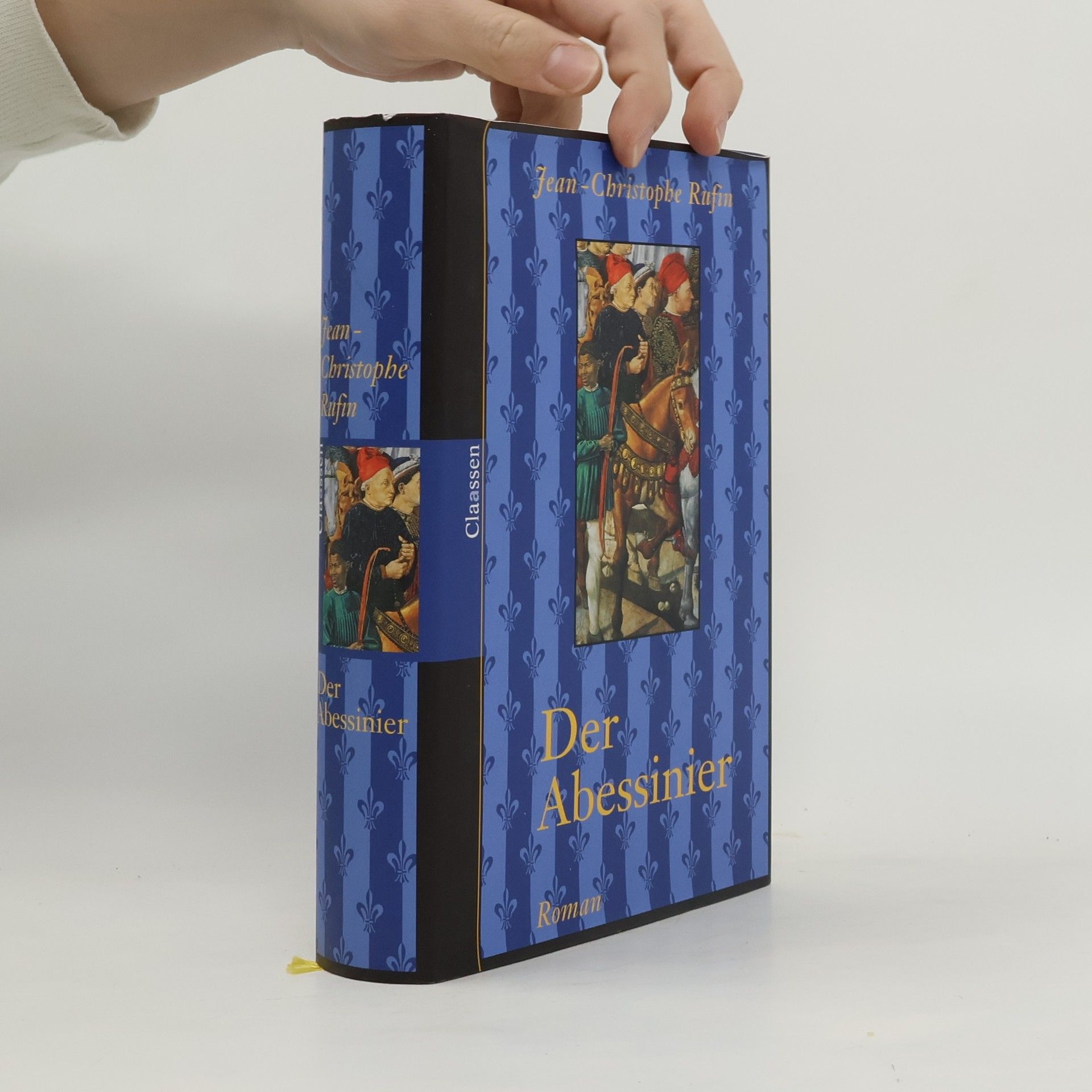 Jean Christophe Rufin Der Abessinier