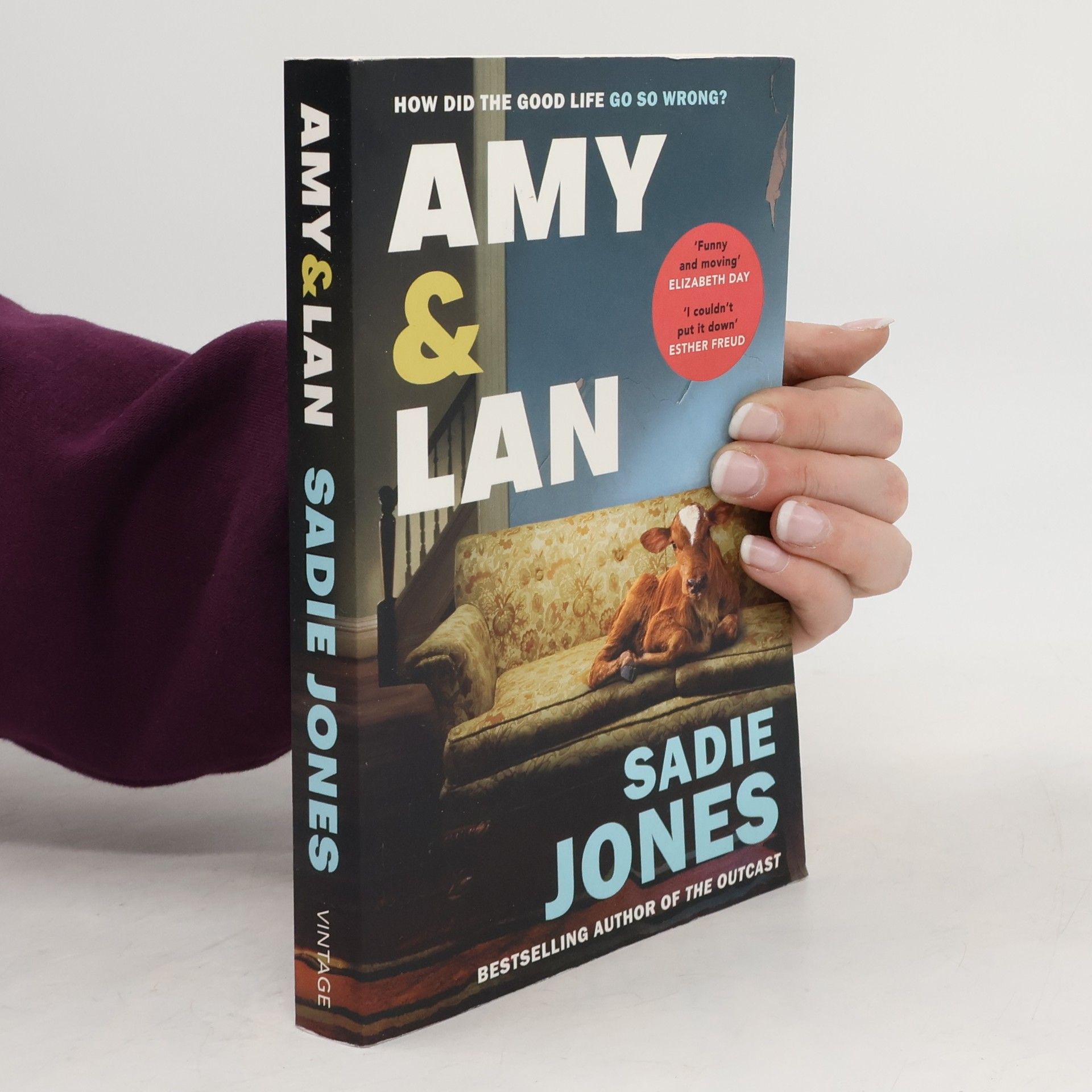 Sadie Jones Amy and Lan