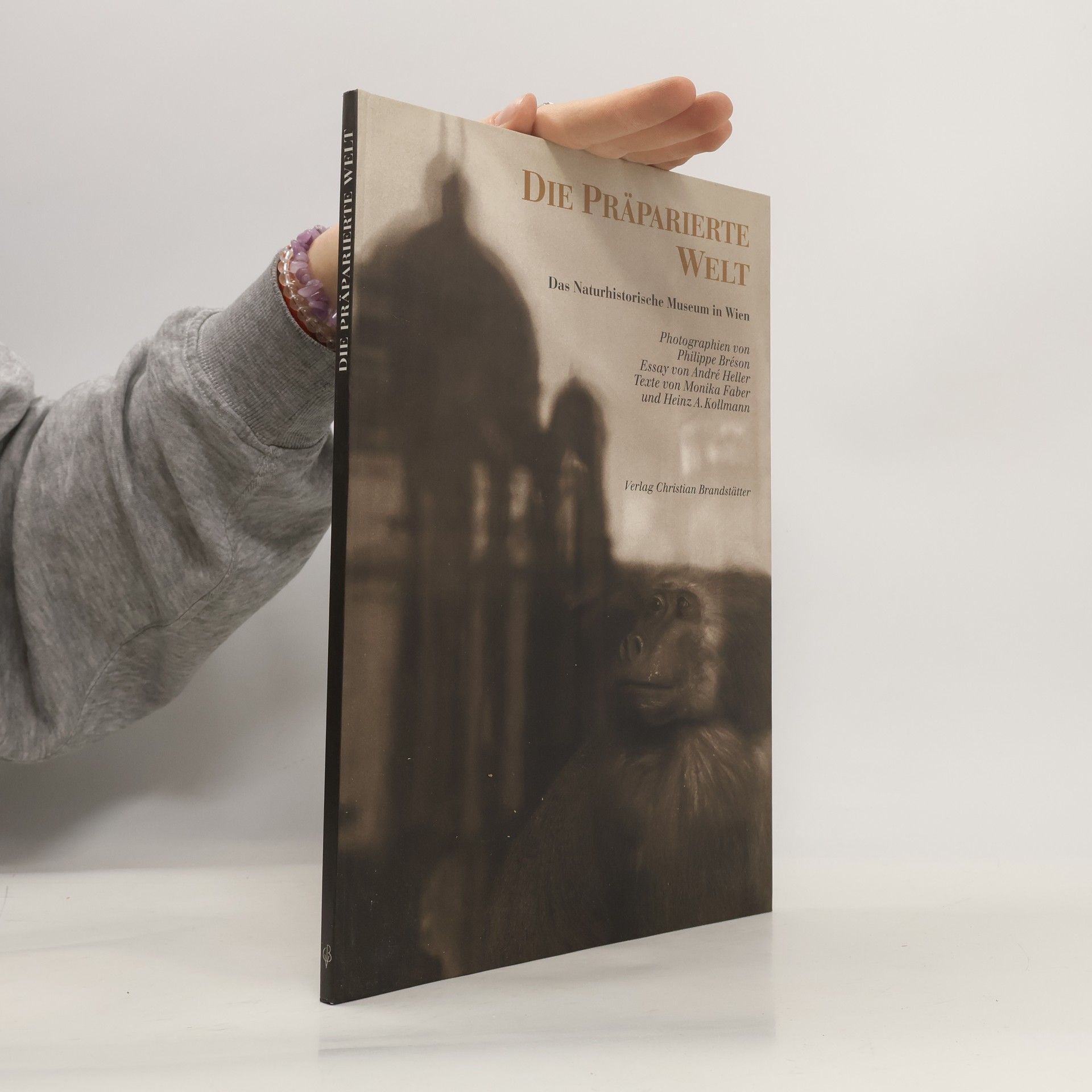 Philippe Bréson Die präparierte Welt