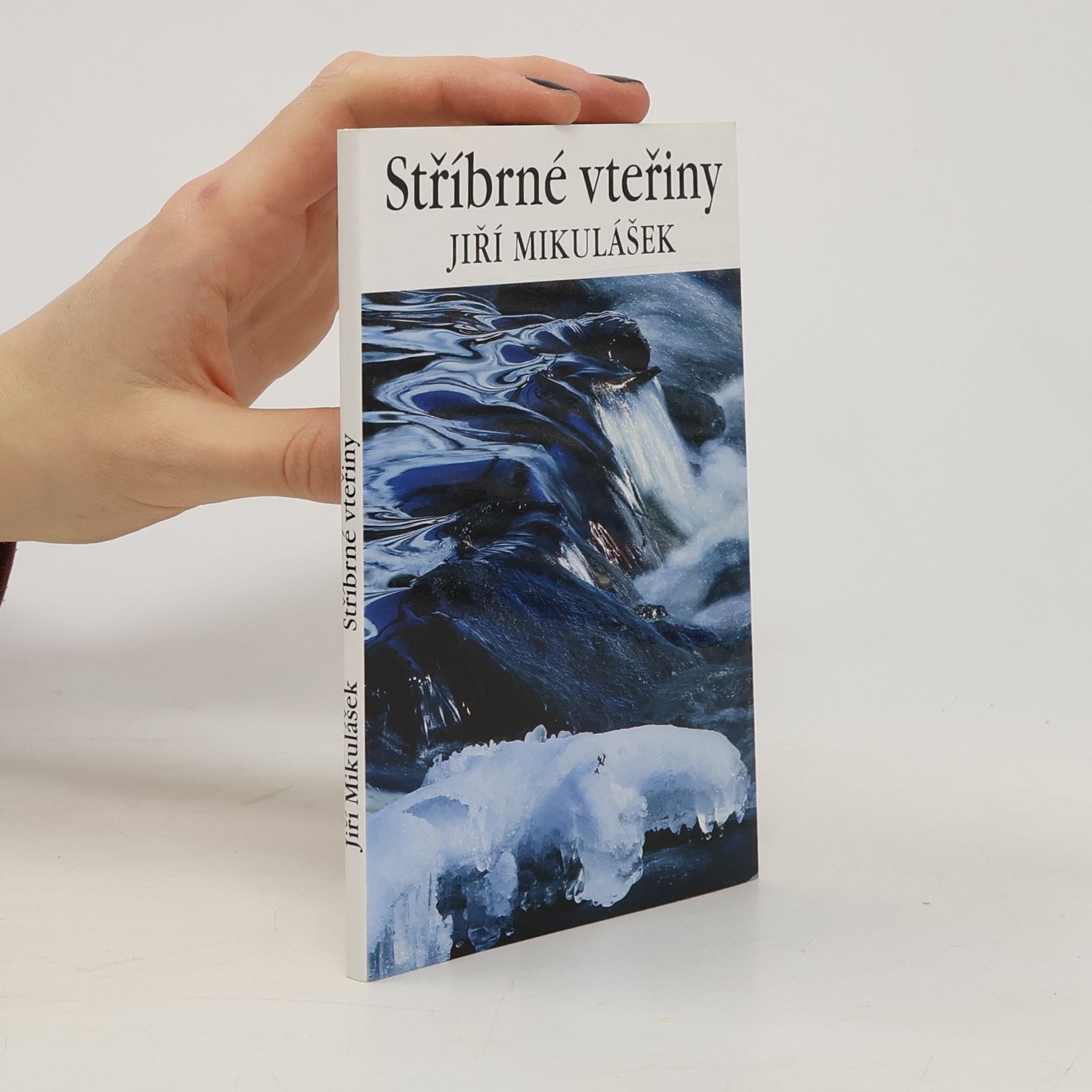 Stříbrné vteřiny (věnování)