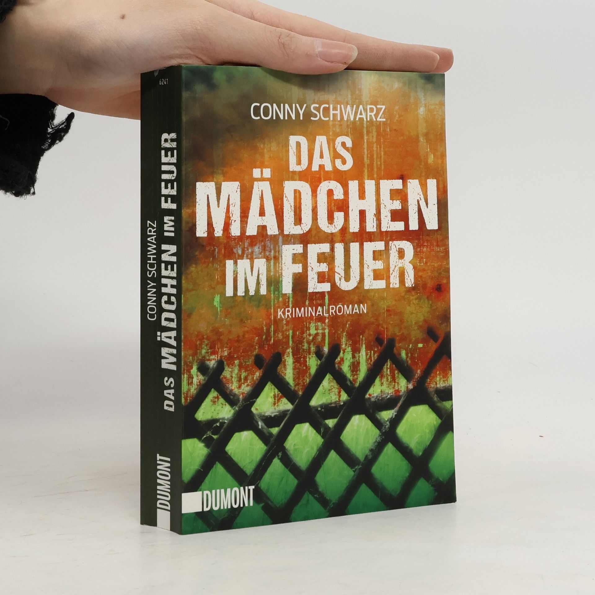 Conny Schwarz Das Mädchen im Feuer