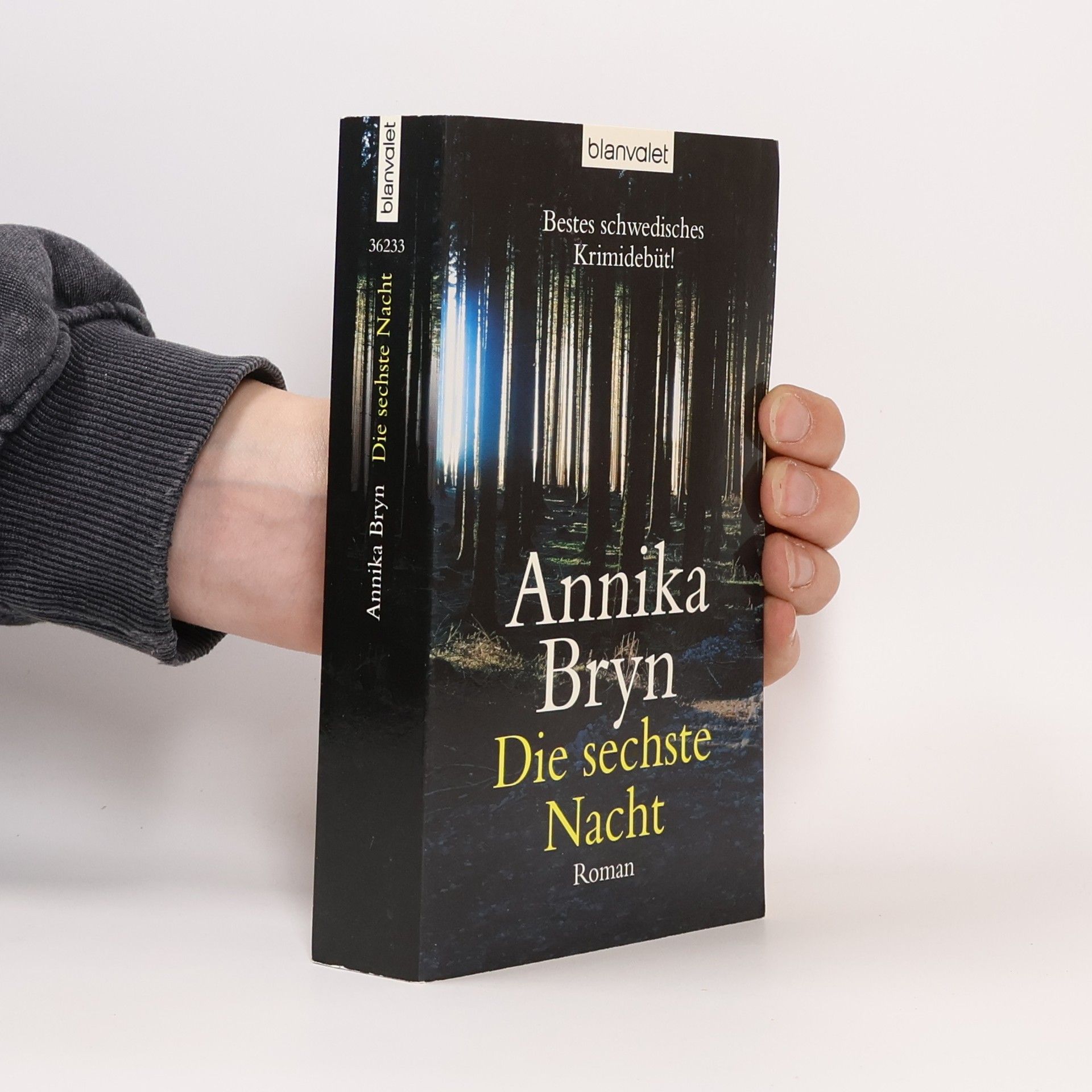 Annika Bryn Die sechste Nacht
