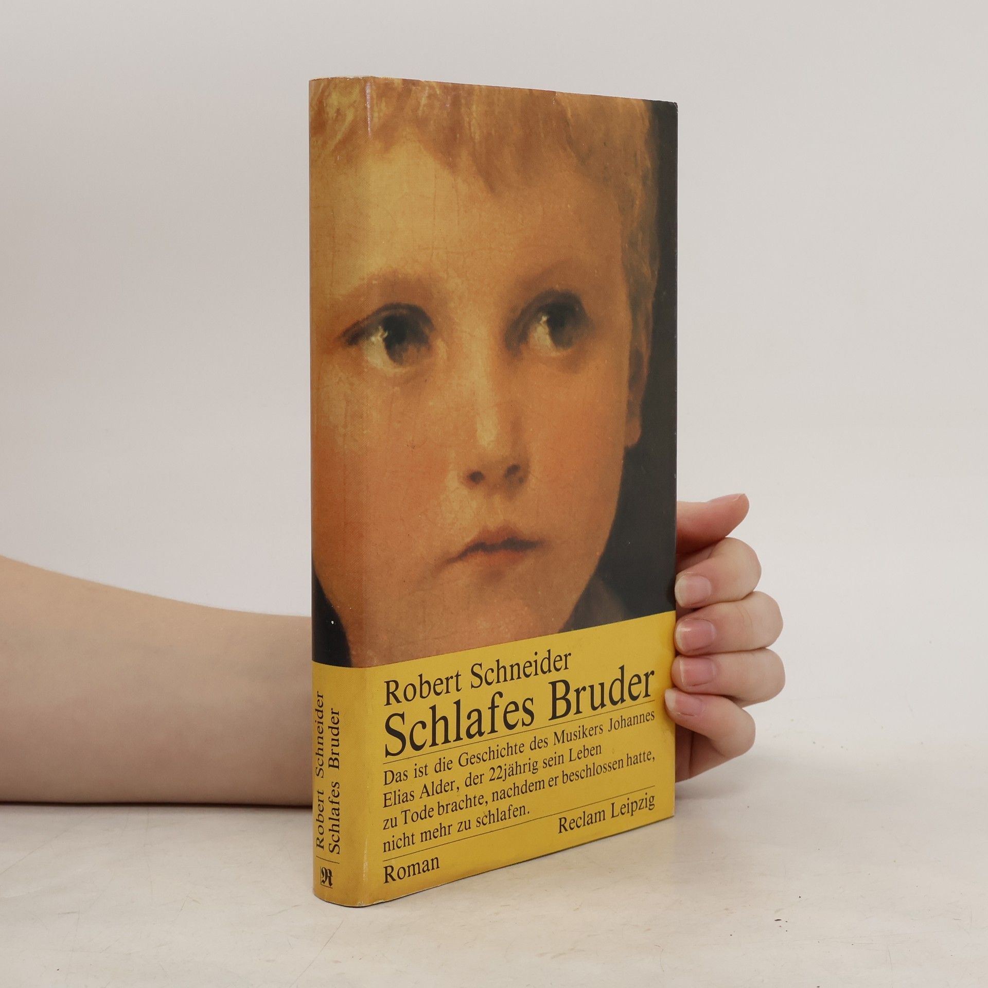 Robert Schneider Schlafes Bruder