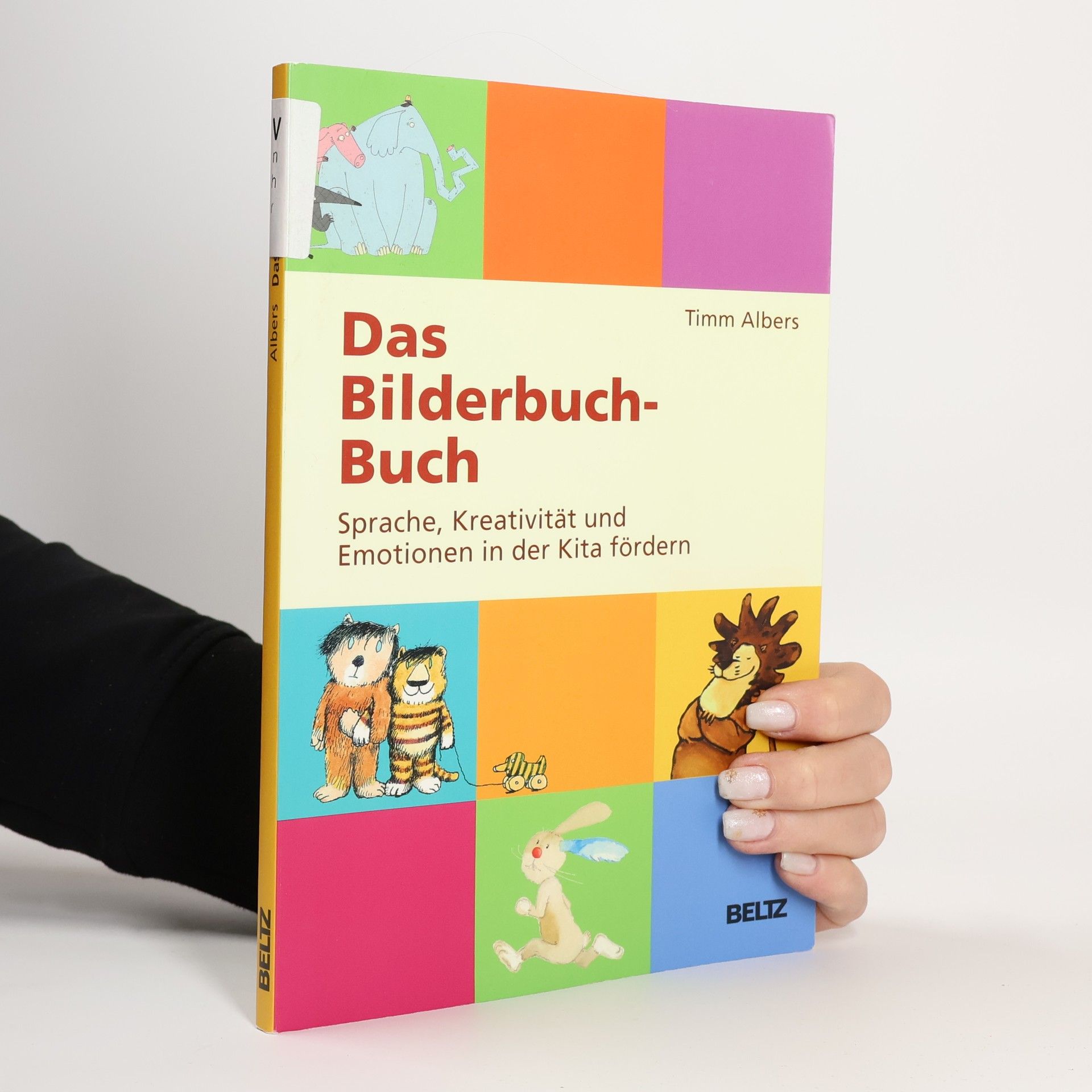 Timm Albers Das Bilderbuch-Buch