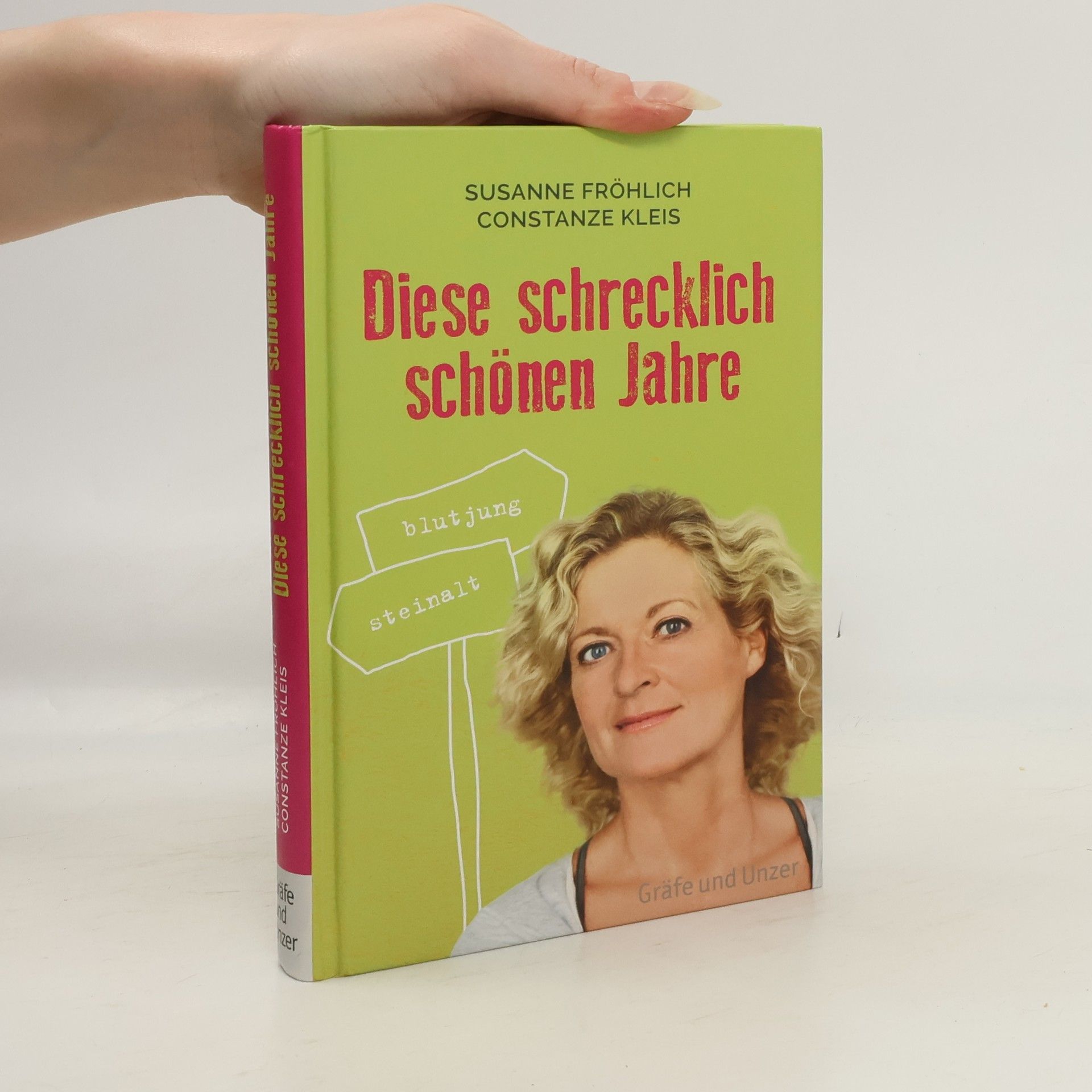 Susanne Fröhlich Diese schrecklich schönen Jahre