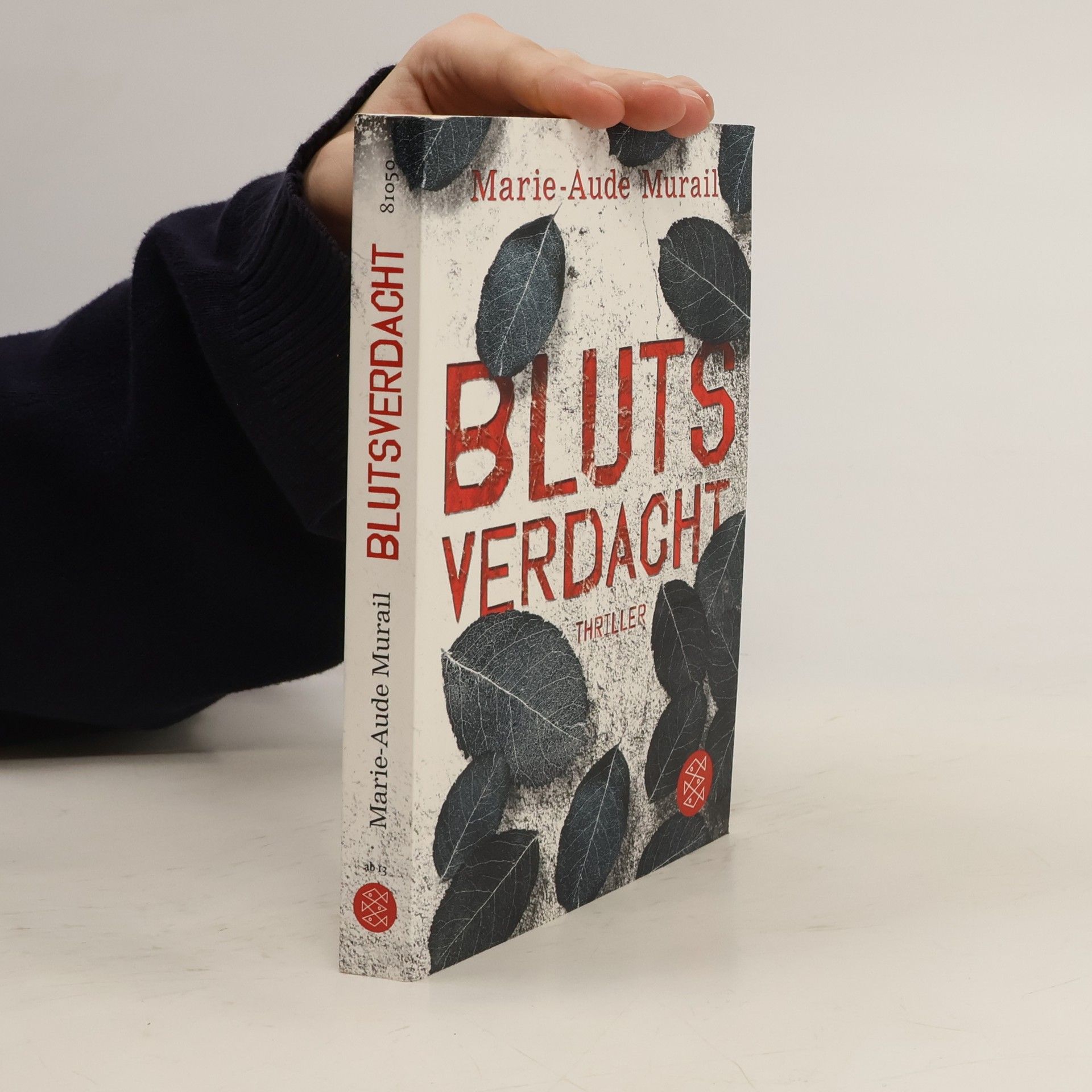 Marie-Aude Murail Blutsverdacht