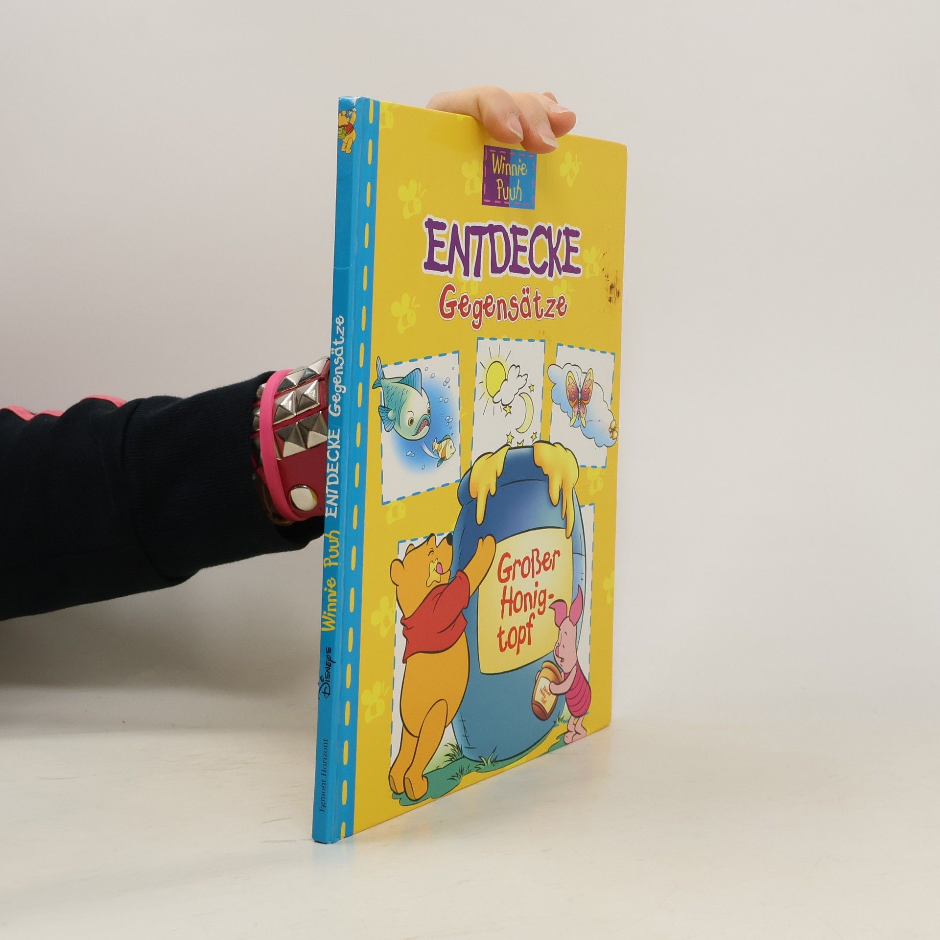 Collectif d'auteurs Entdecke Gegensätze