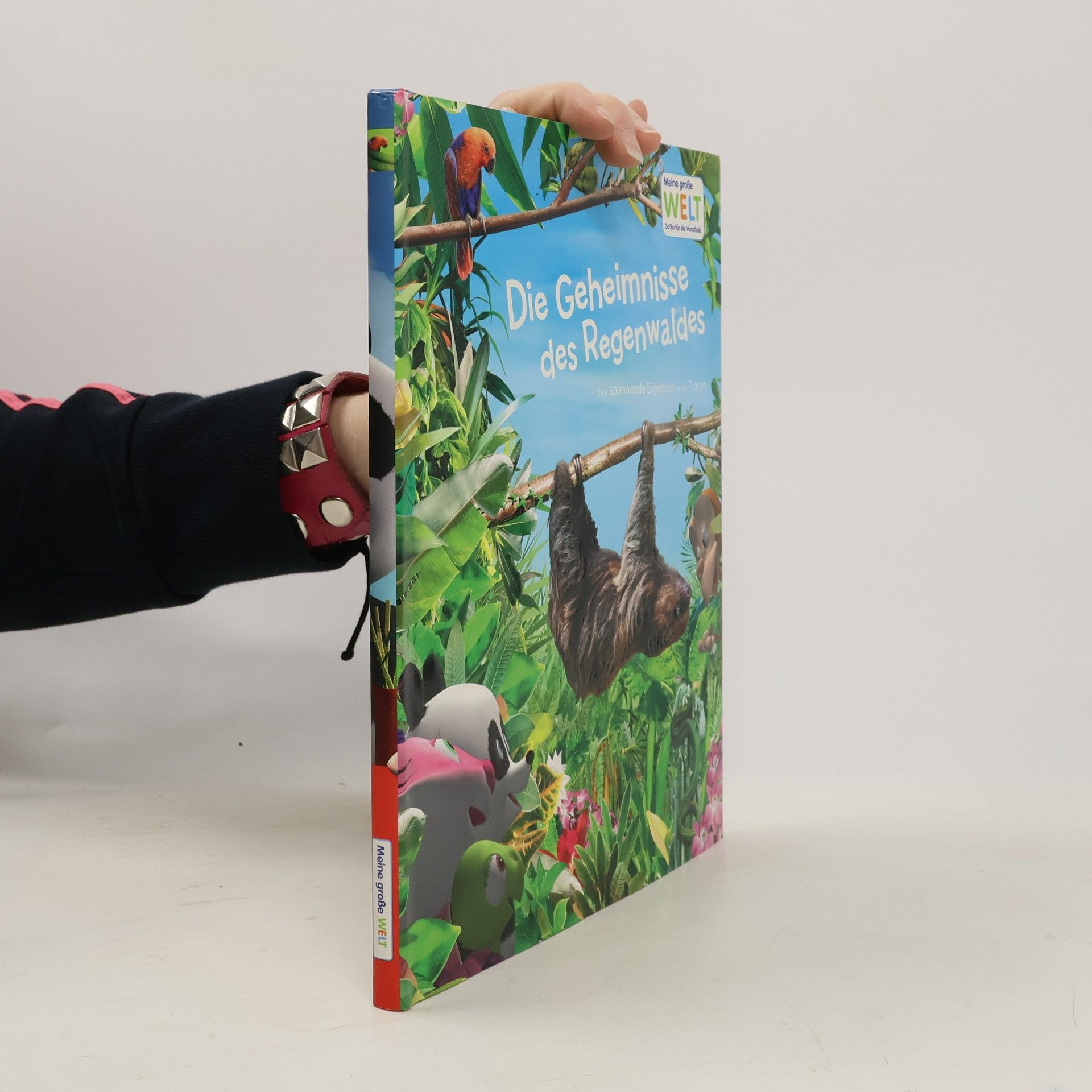 Autores varios Meine große WELT : Die Geheimnisse des Regenwaldes