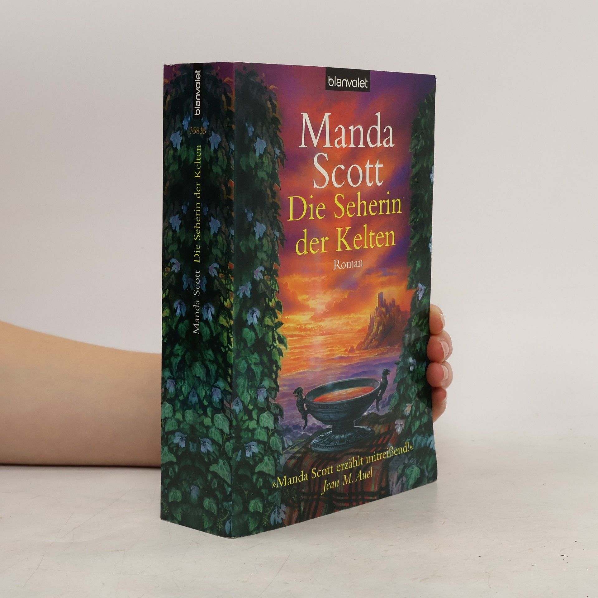 Die Seherin der Kelten