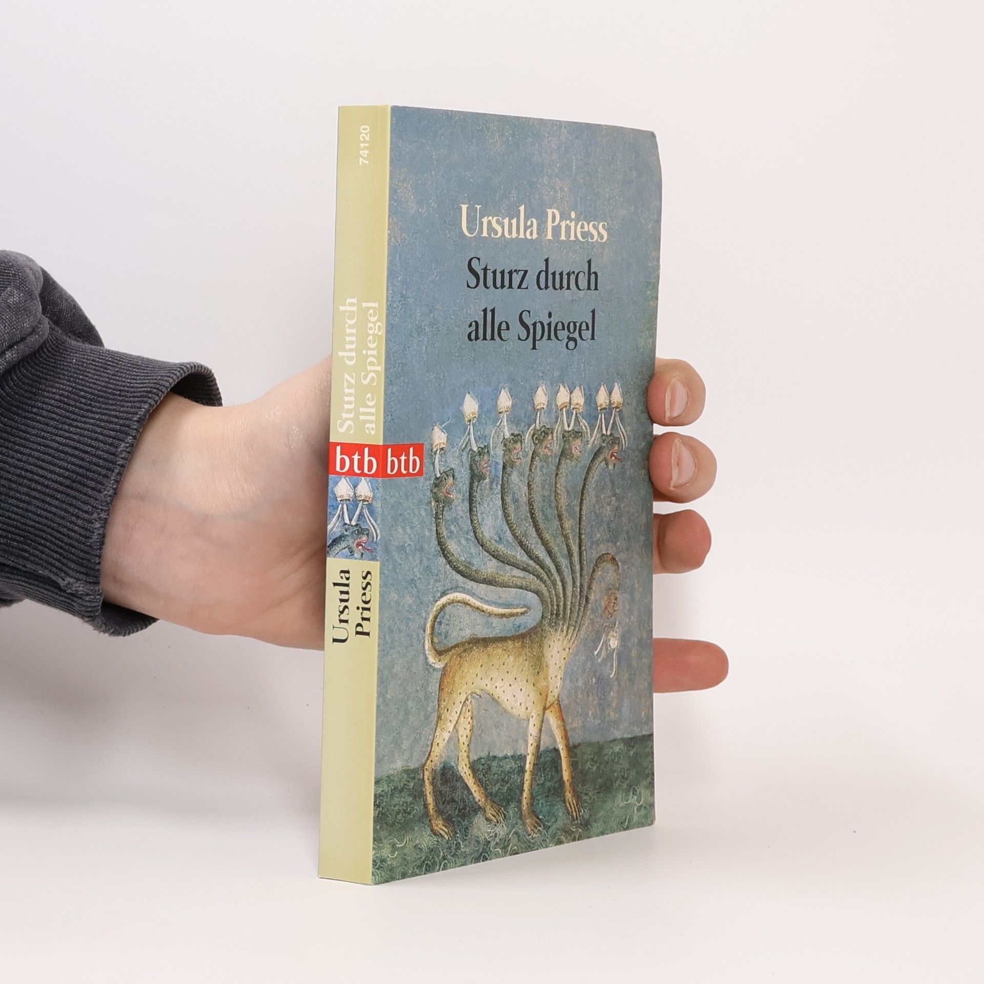 Sturz durch alle Spiegel