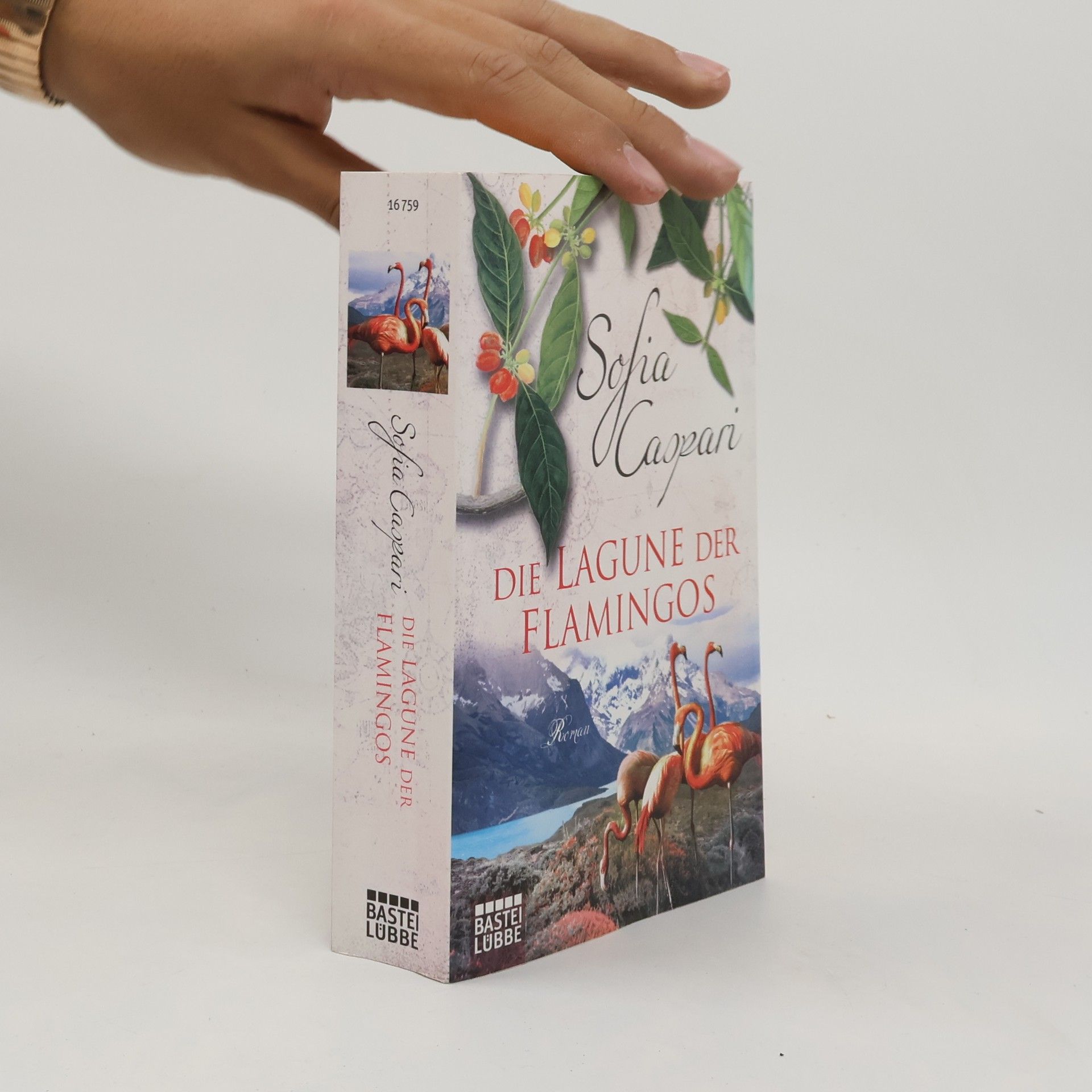 Die Lagune der Flamingos