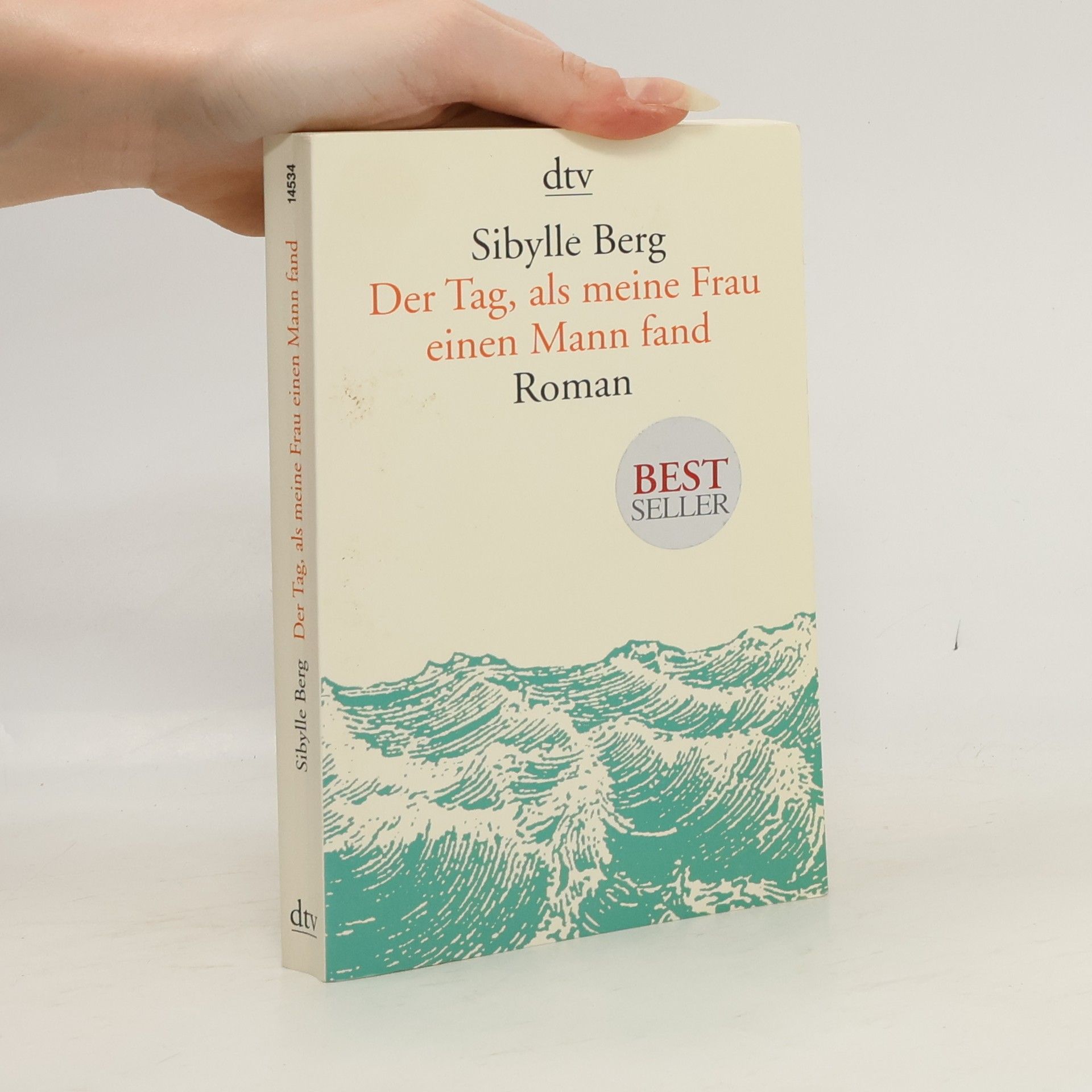 Sibylle Berg Der Tag, als meine Frau einen Mann fand