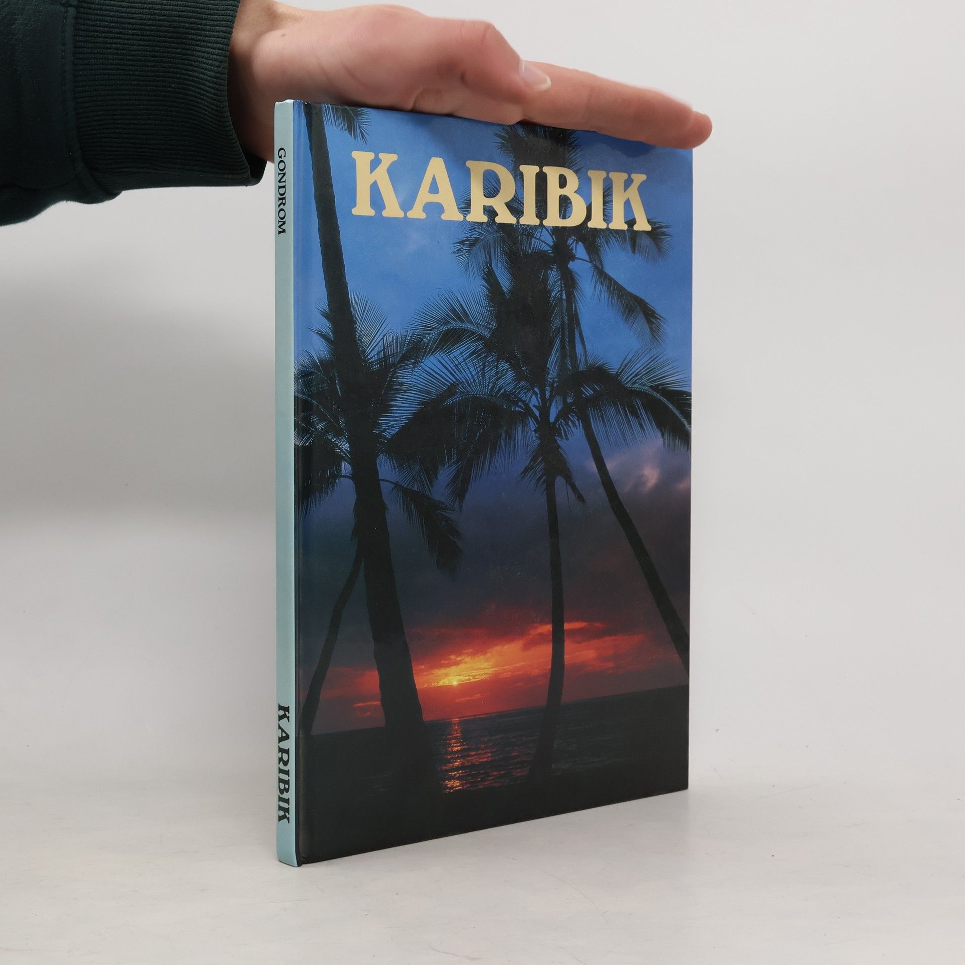 Jürgen Berger Karibik