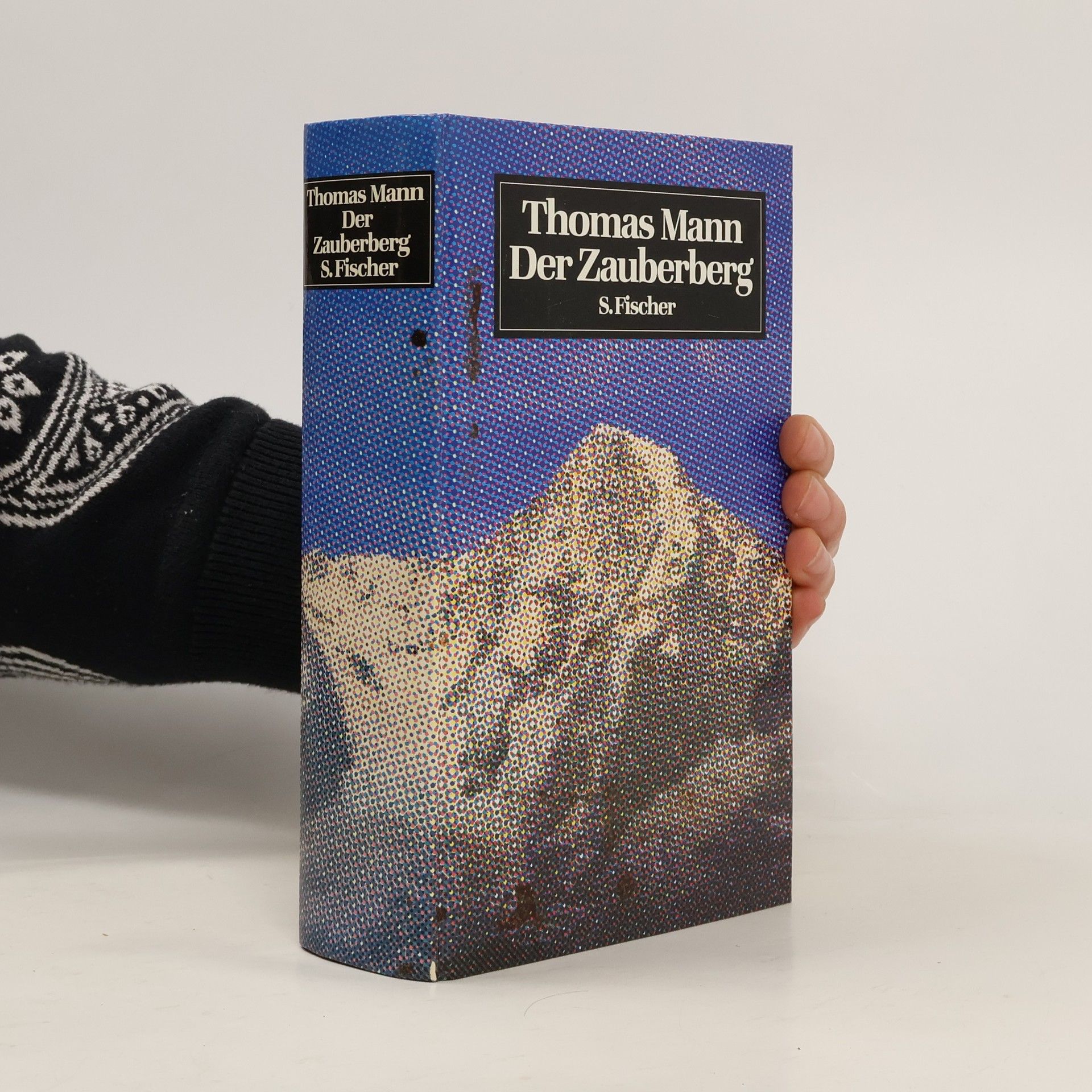 Thomas Mann Der Zauberberg