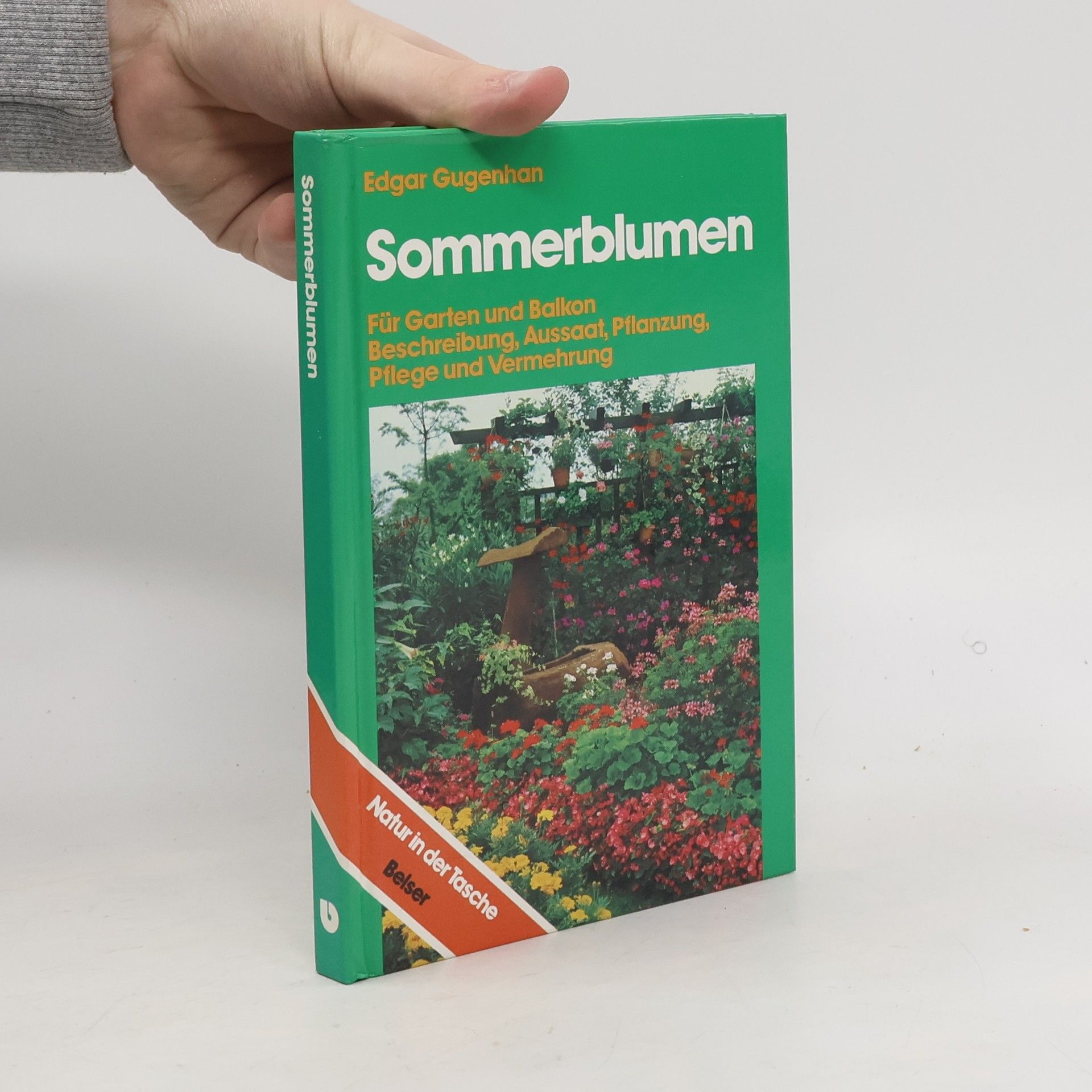 Edgar Gugenhan Sommerblumen