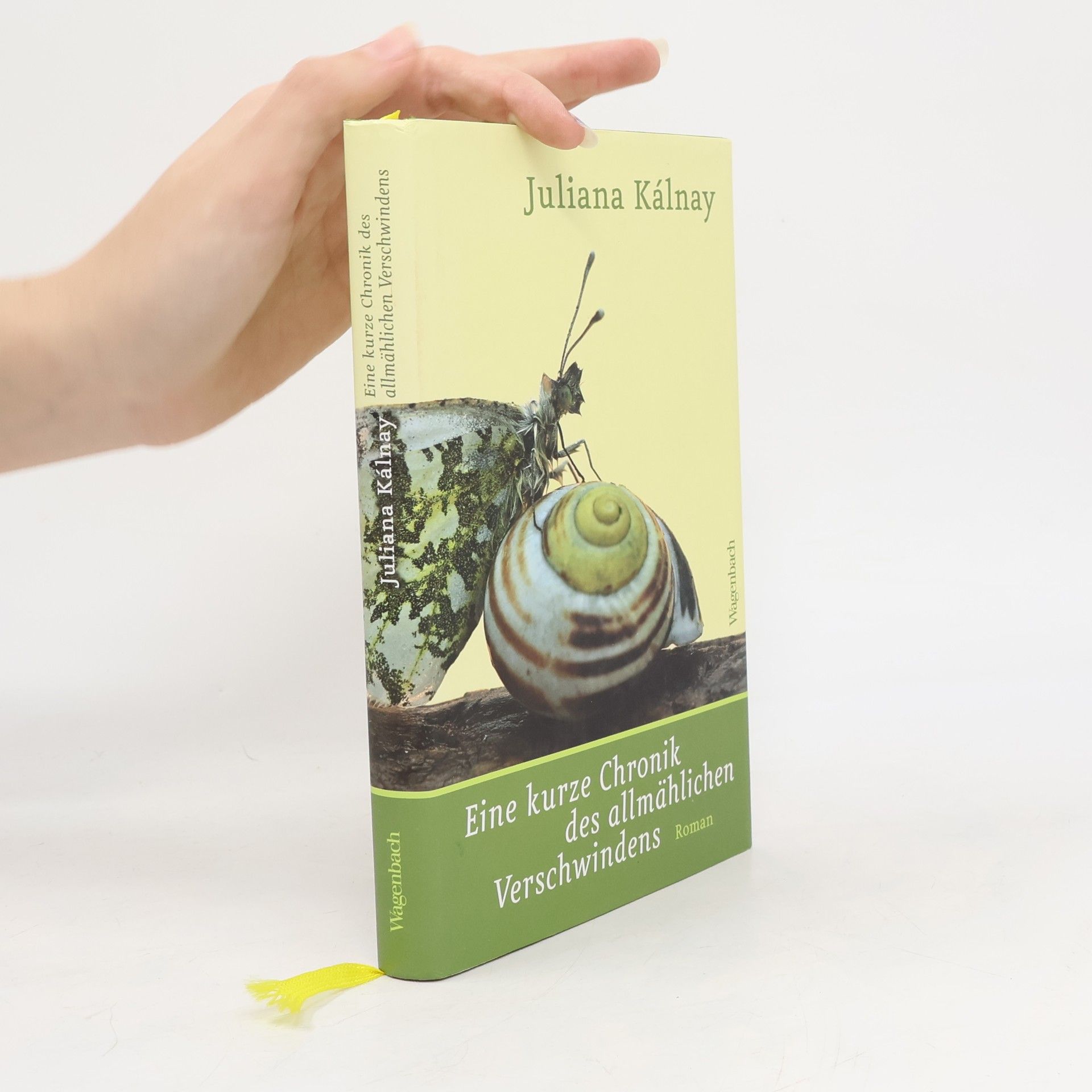 Juliana Kálnay Eine kurze Chronik des allmählichen Verschwindens