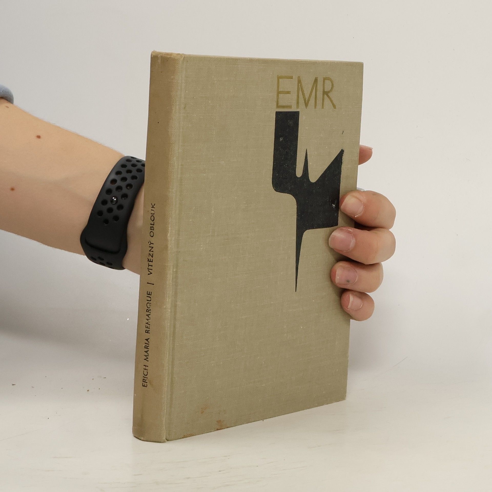 Erich Maria Remarque Vítězný oblouk