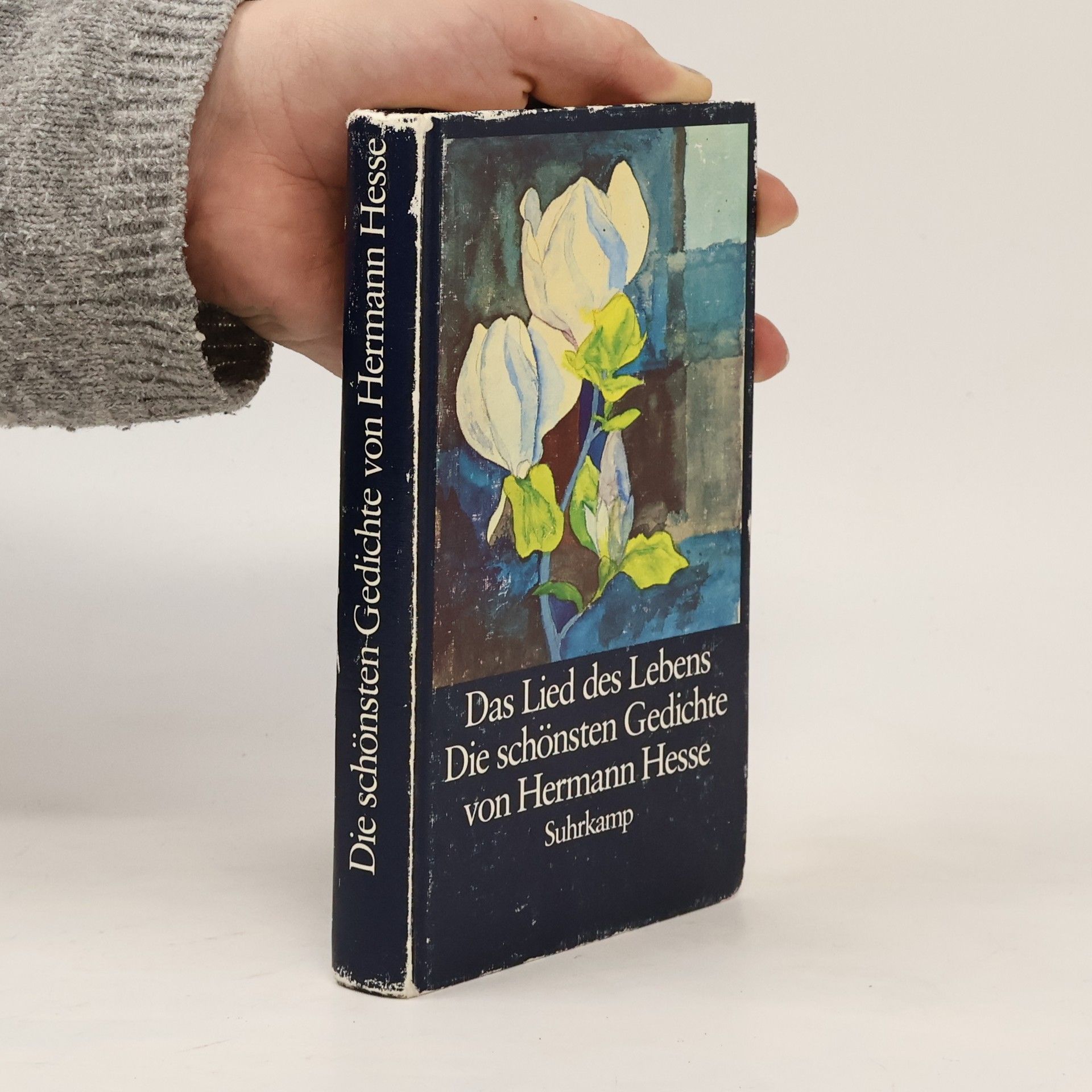 Hermann Hesse Das Lied des Lebens. Die schönsten Gedichte von Hermann Hesse