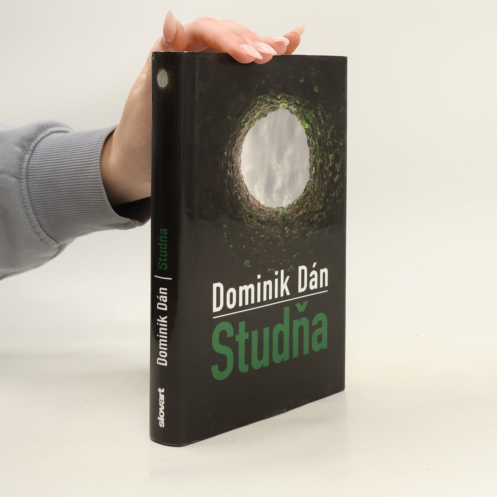 Dominik Dán Studňa