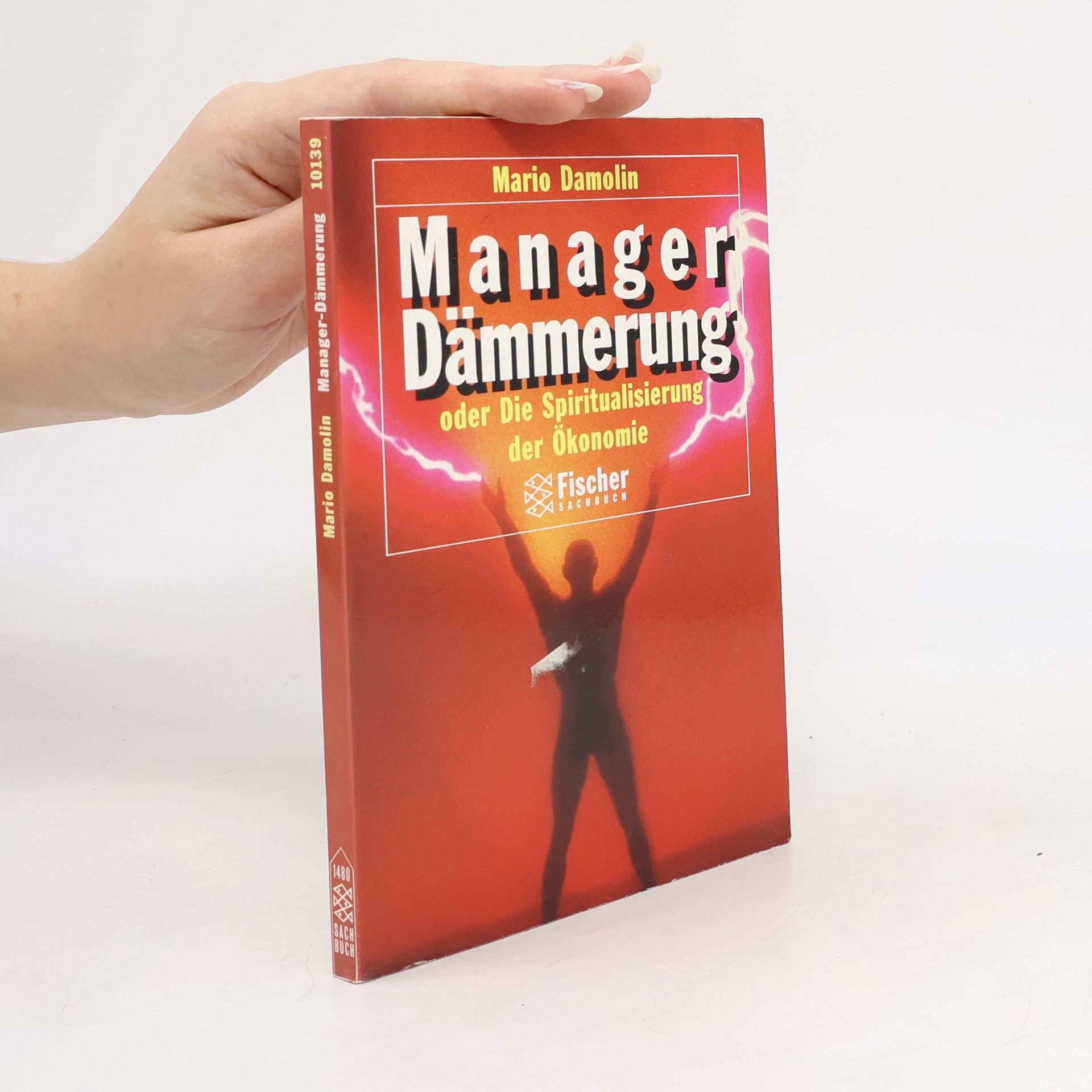 Mario Damolin Manager-Dämmerung oder die Spiritualisierung der Ökonomie