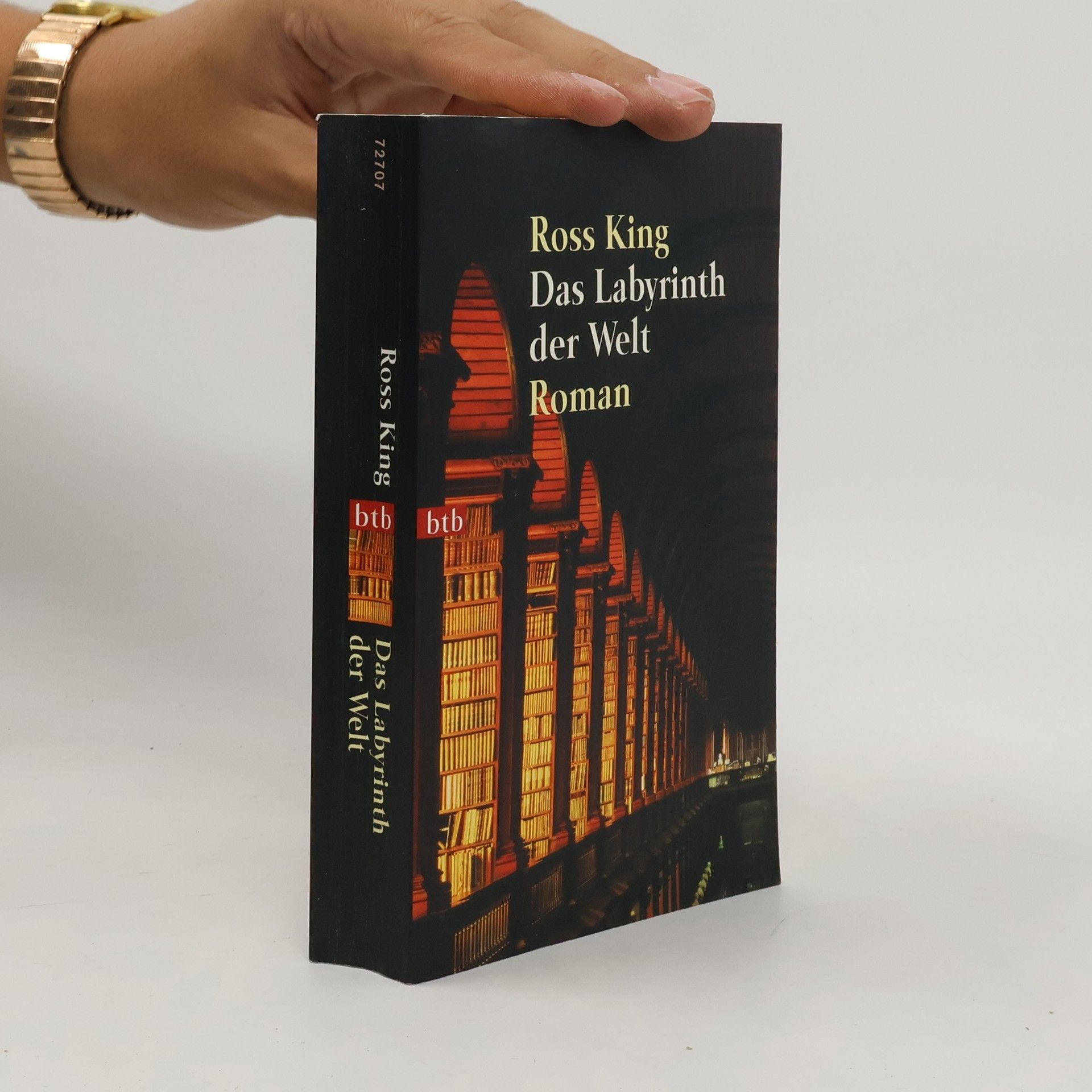 Das Labyrinth der Welt