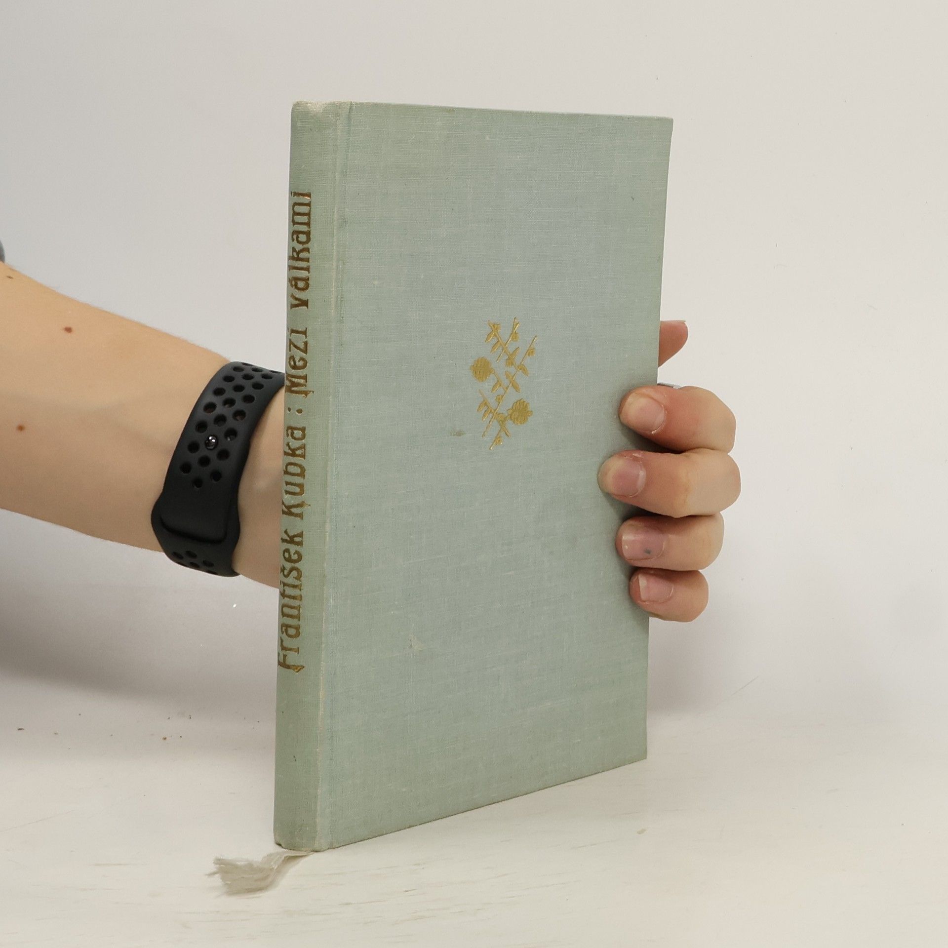 František Kubka Mezi válkami