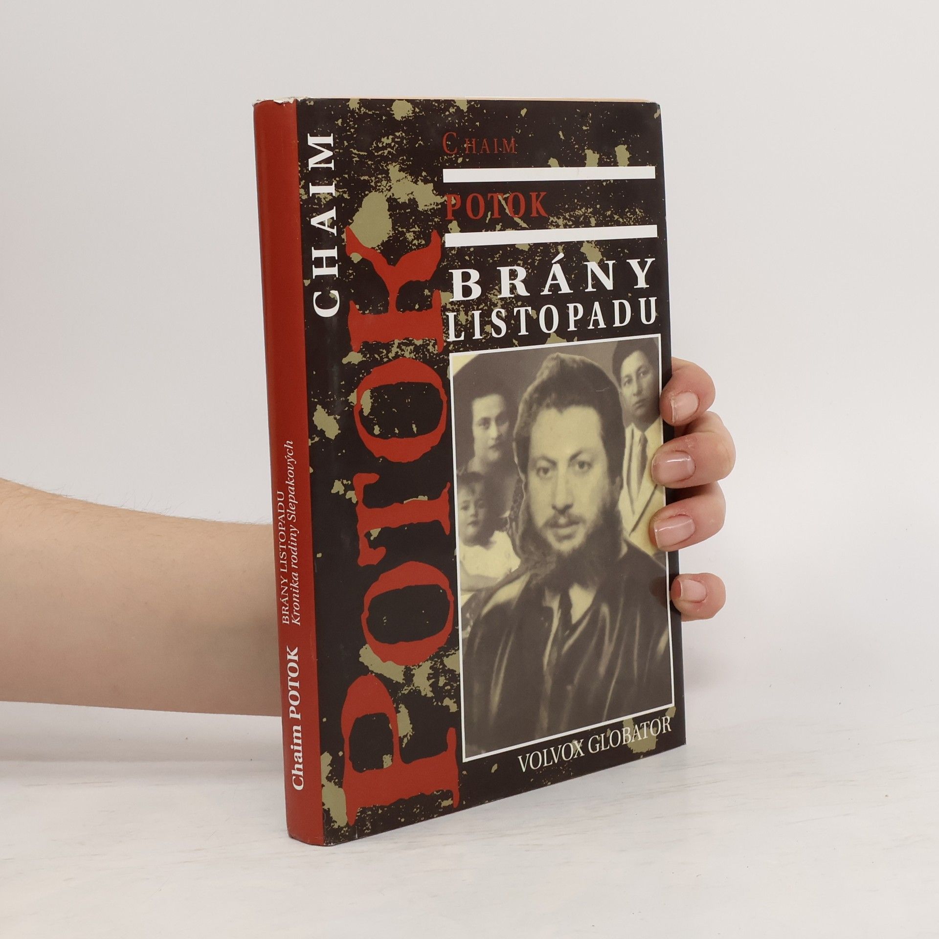 Chaim Potok Brány listopadu