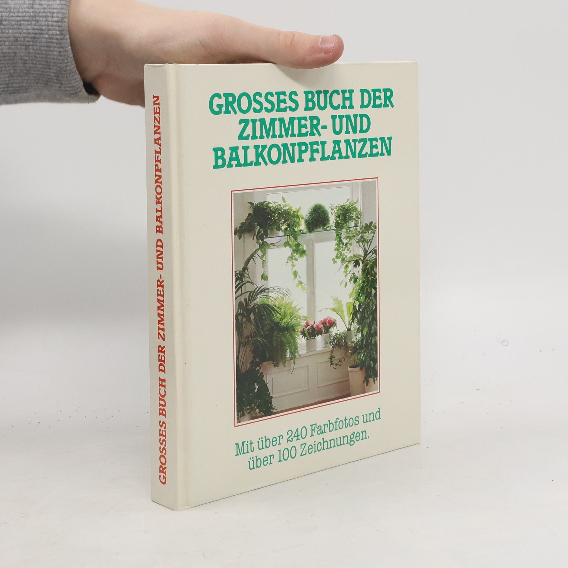 Grossem Buch der Zimmer-und Balkonpflanzen