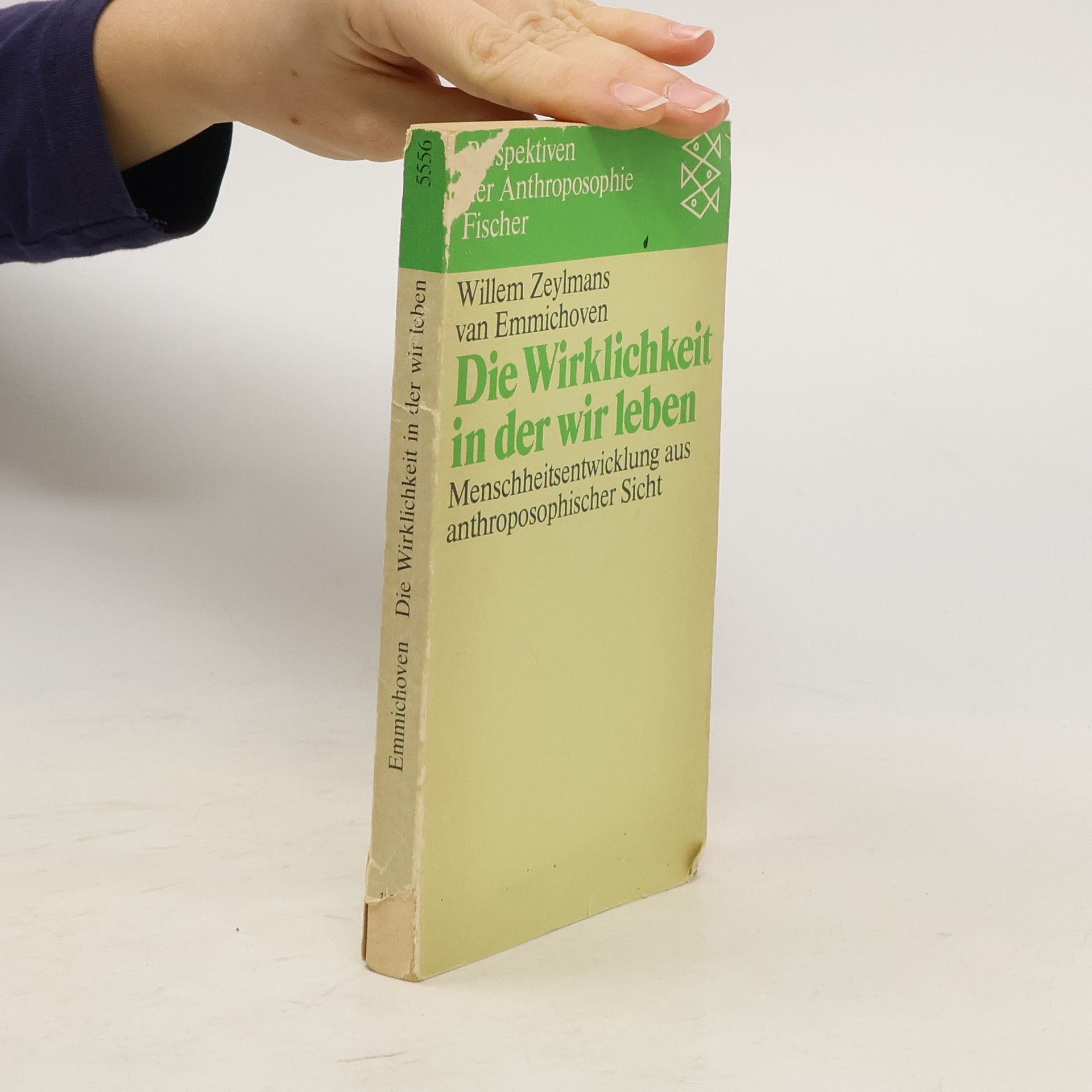 F Willem Zeylmans van Emmichhoven Die Wirklichkeit in der wir leben