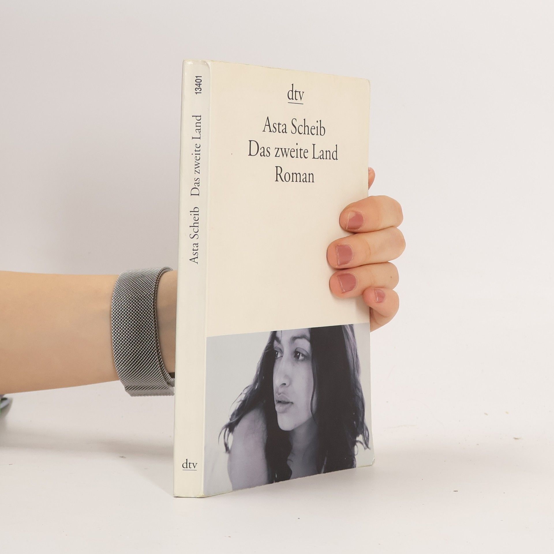 Asta Scheib Das zweite Land