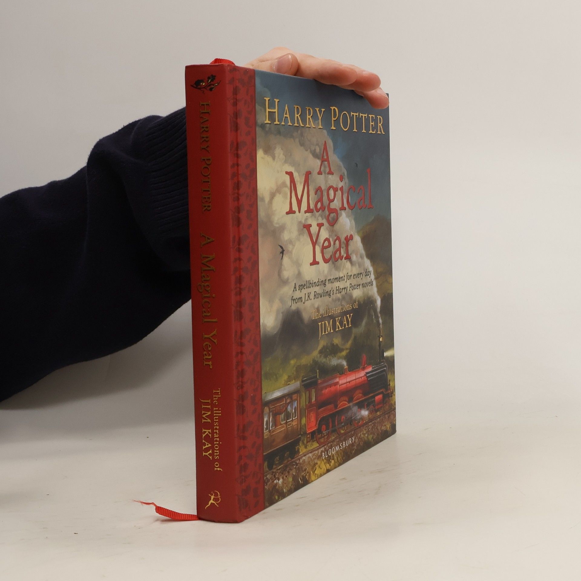 Harry Potter. A Magical Year