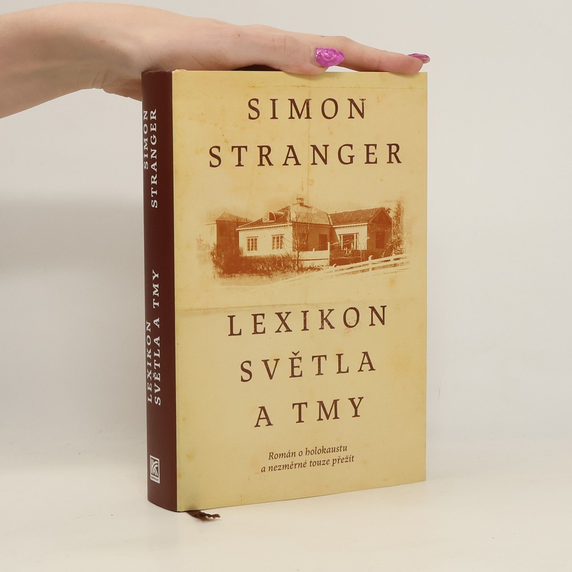 Simon Stranger Lexikon světla a tmy