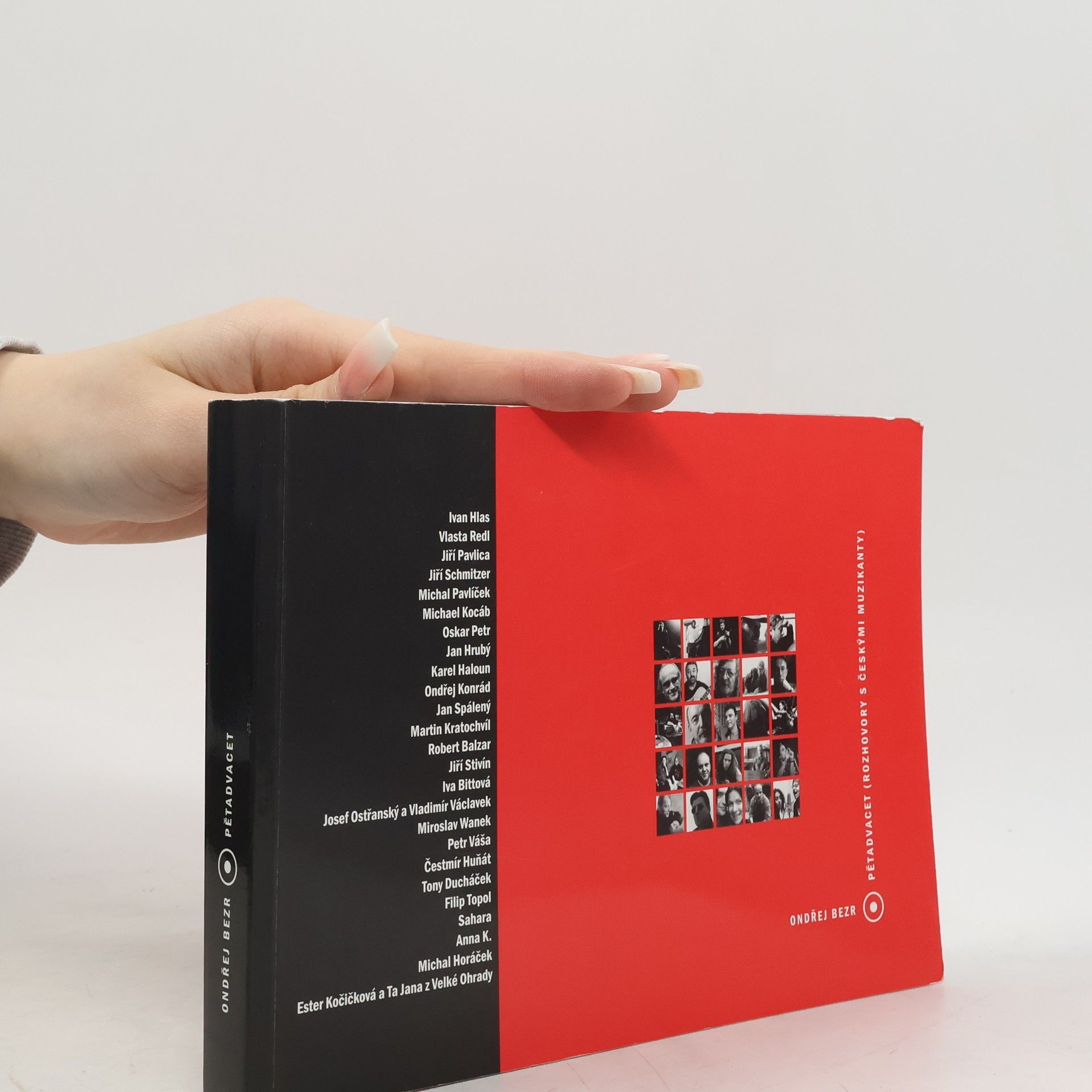 Pětadvacet : (rozhovory s českými muzikanty)