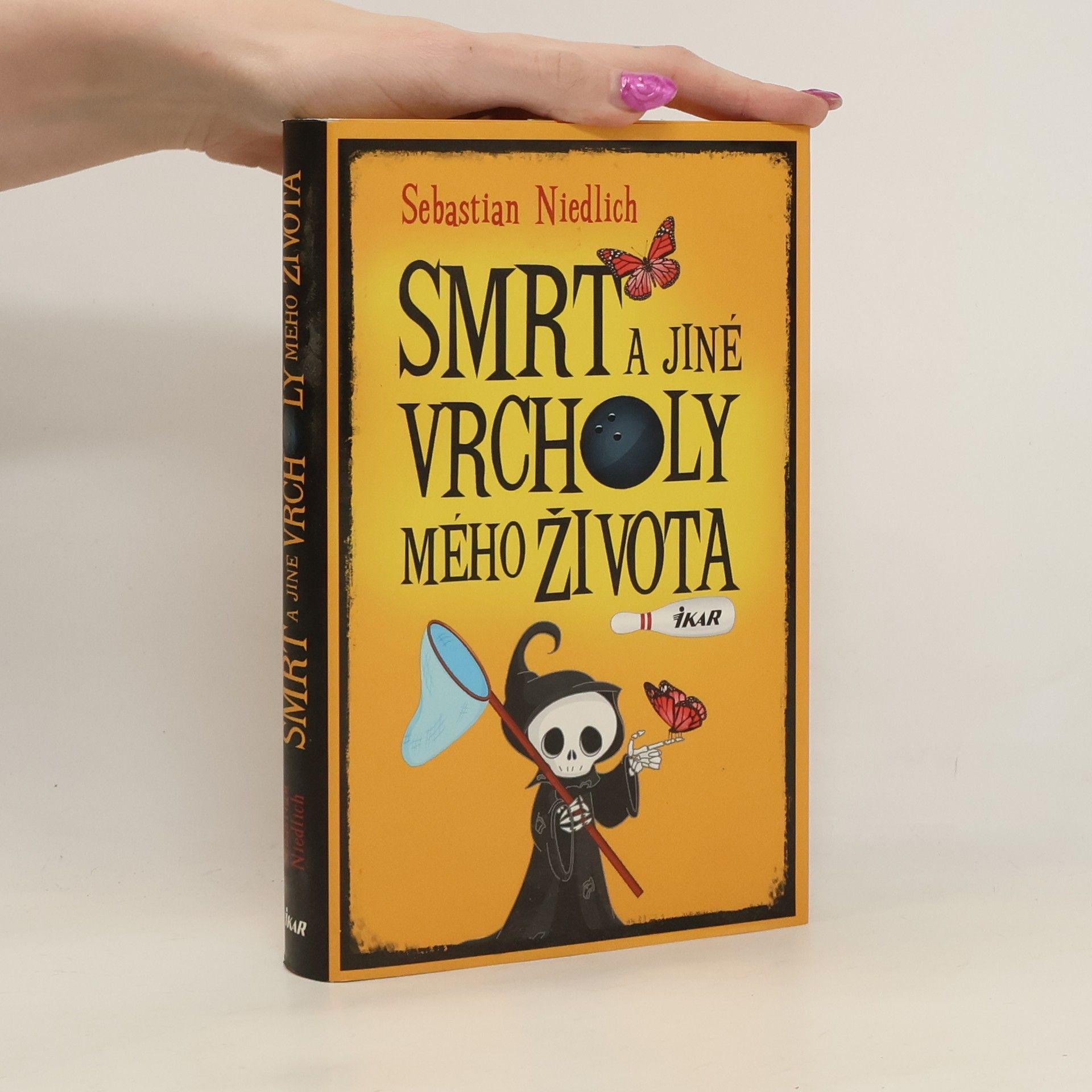 Sebastian Niedlich Smrt a jiné vrcholy mého života