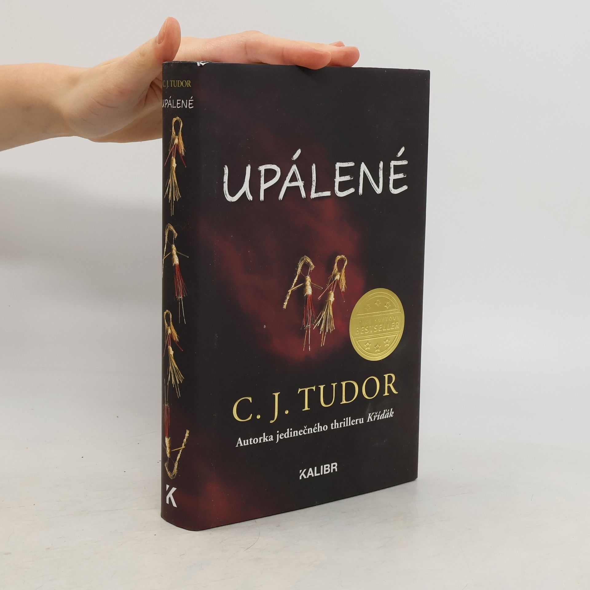 C. J. Tudor Upálené