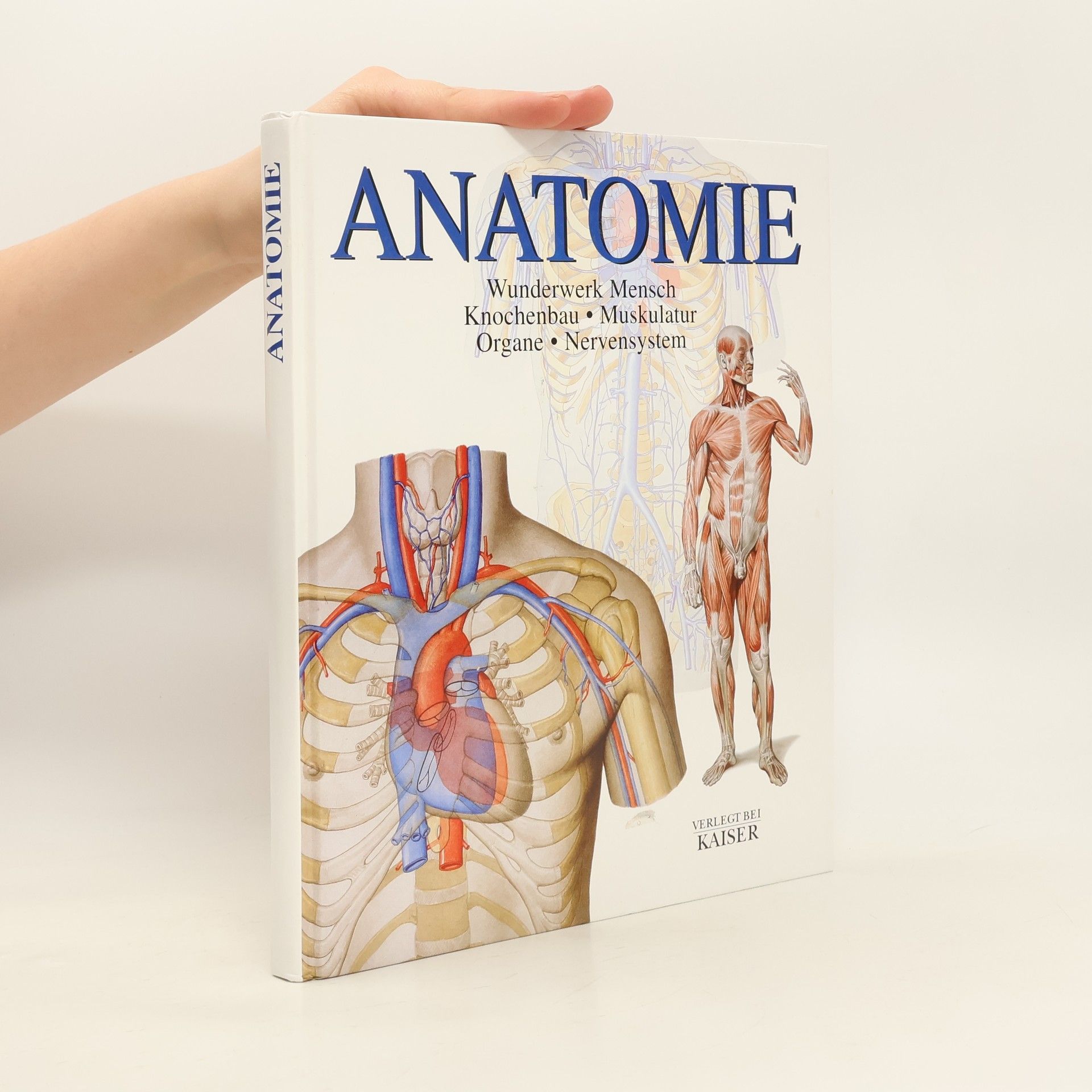 Carmen Schöninger Anatomie