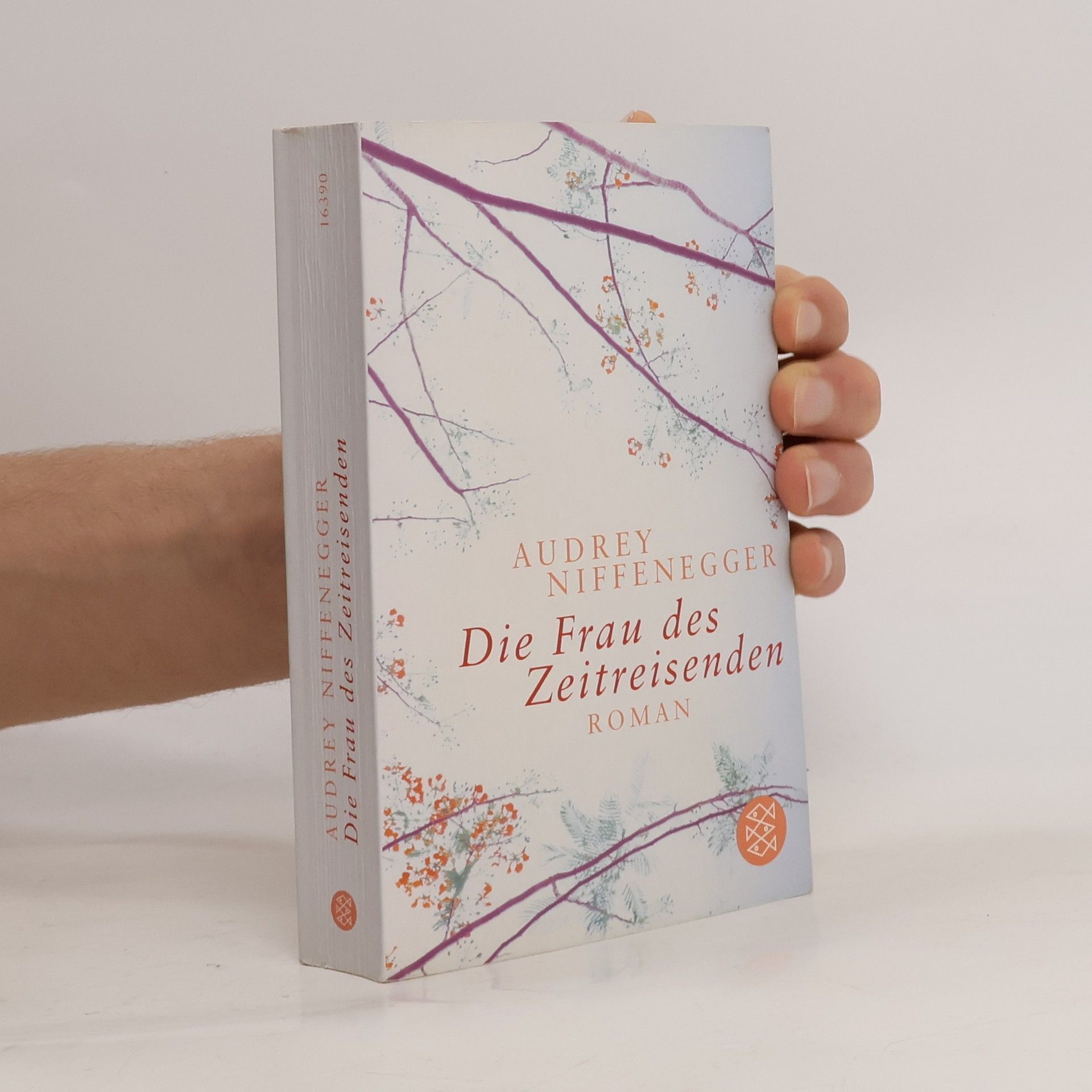 Die Frau des Zeitreisenden