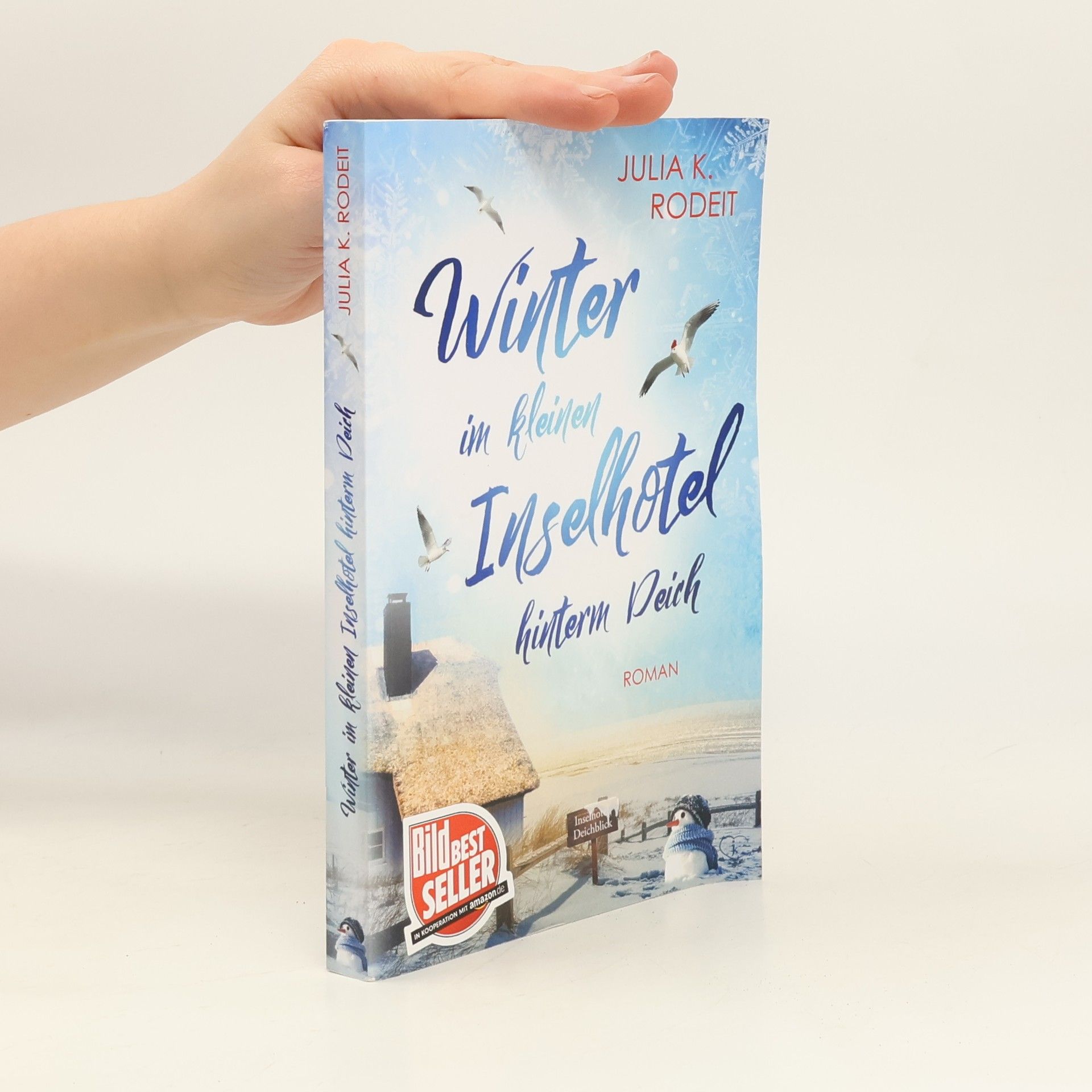 Julia K. Rodeit Inselträume auf Amrum - 2: Winter im kleinen Inselhotel hinterm Deich