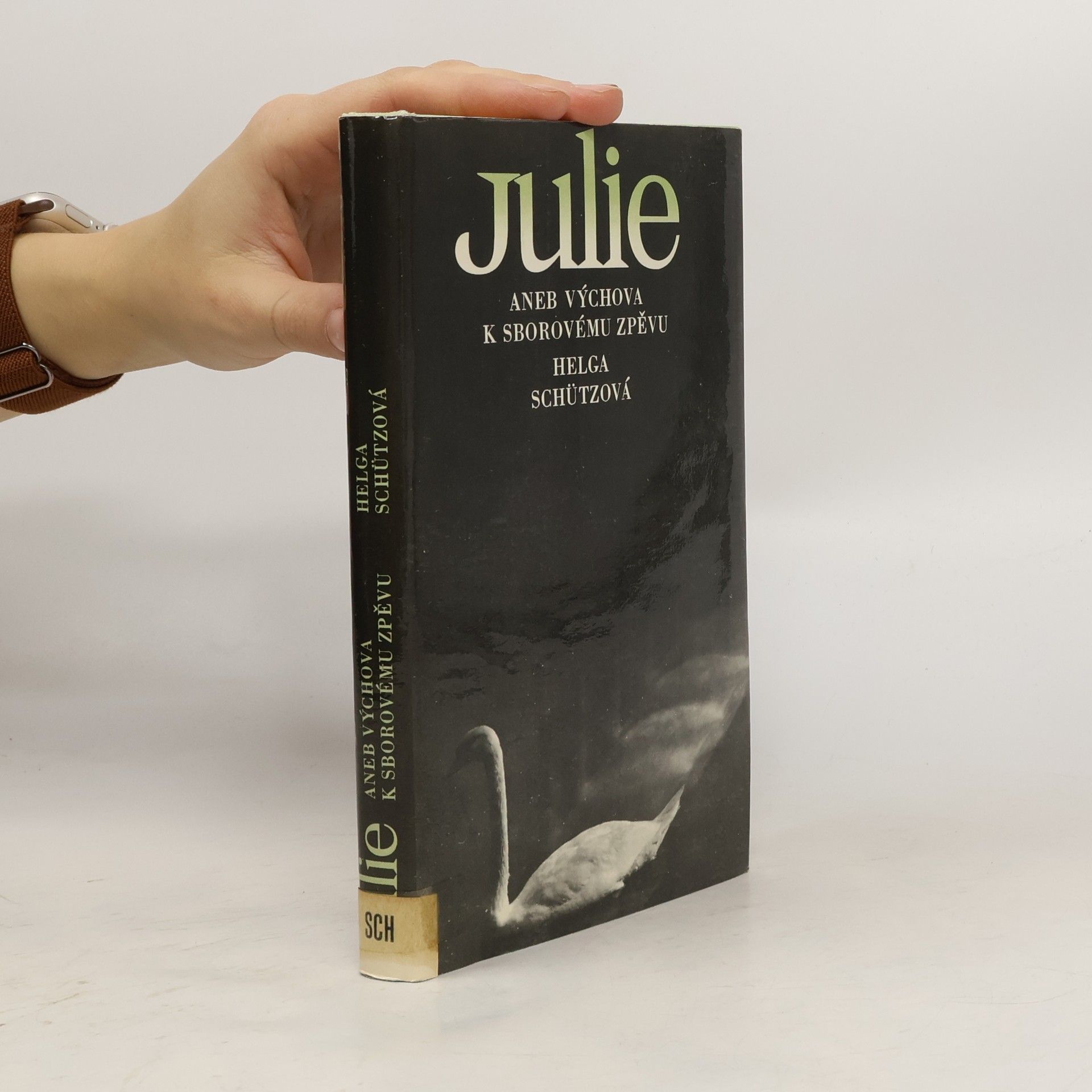 Julie aneb výchova k sborovému zpěvu